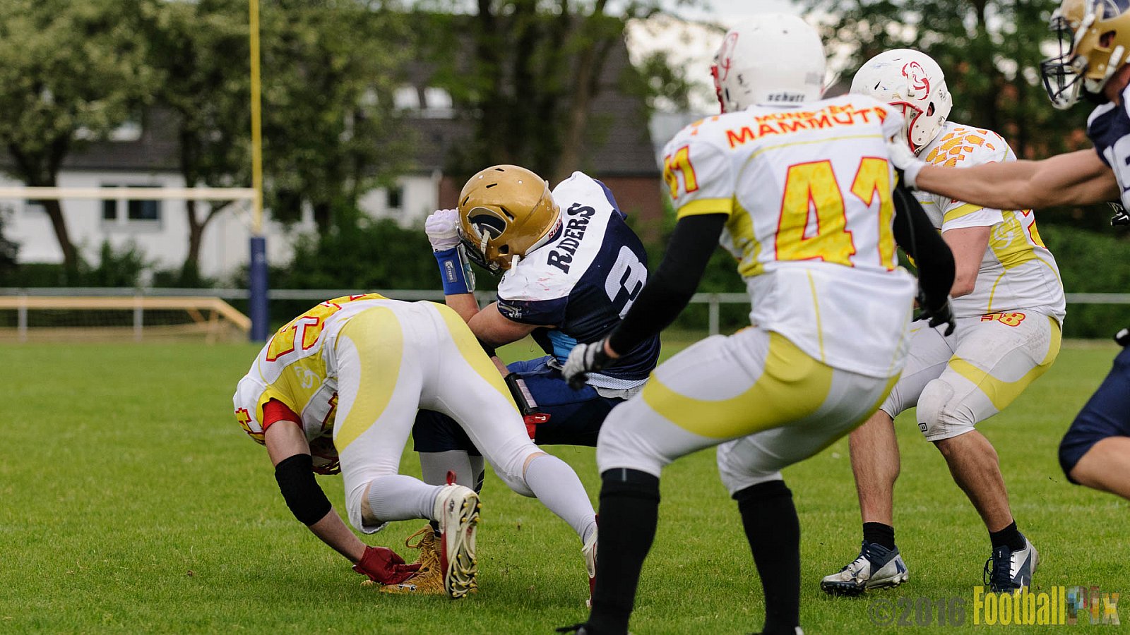 Schiefbahn Riders vs. Münster Mammuts - 16.05.2016 OL NRW: Schiefbahn Riders vs. Münster Mammuts (0:9)