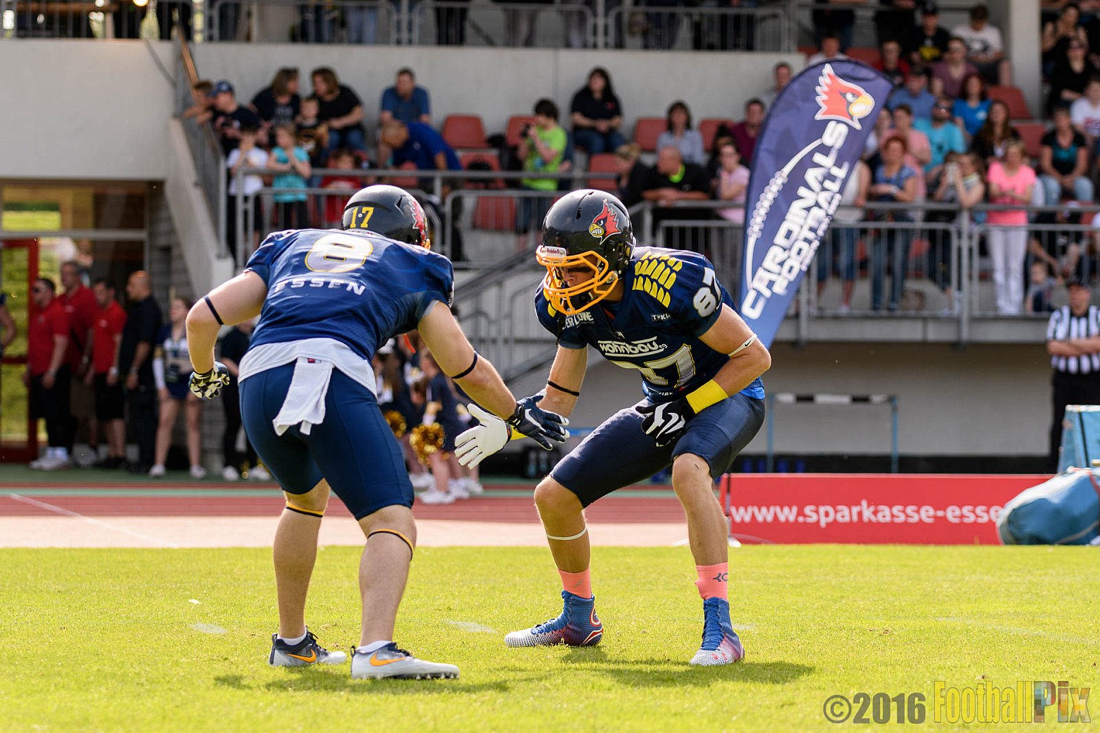 Essen Assindia Cardinals vs. Cologne Crocodiles - 21.05.2016 GFL2: Essen Assindia Cardinals vs. Cologne Crocodiles (0:17)