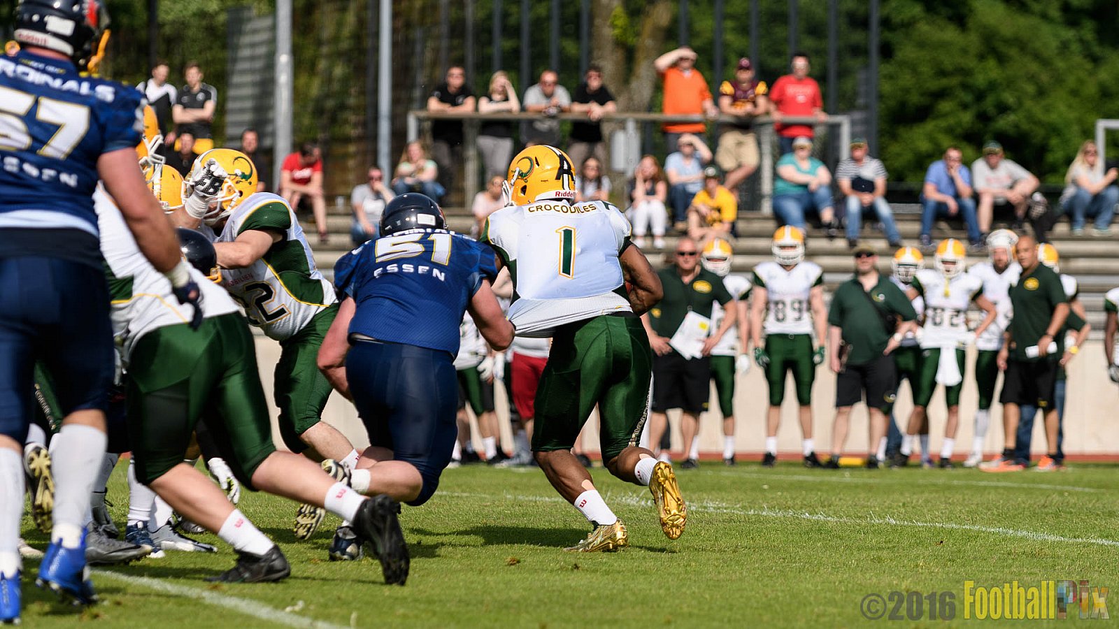 Essen Assindia Cardinals vs. Cologne Crocodiles - 21.05.2016 GFL2: Essen Assindia Cardinals vs. Cologne Crocodiles (0:17)