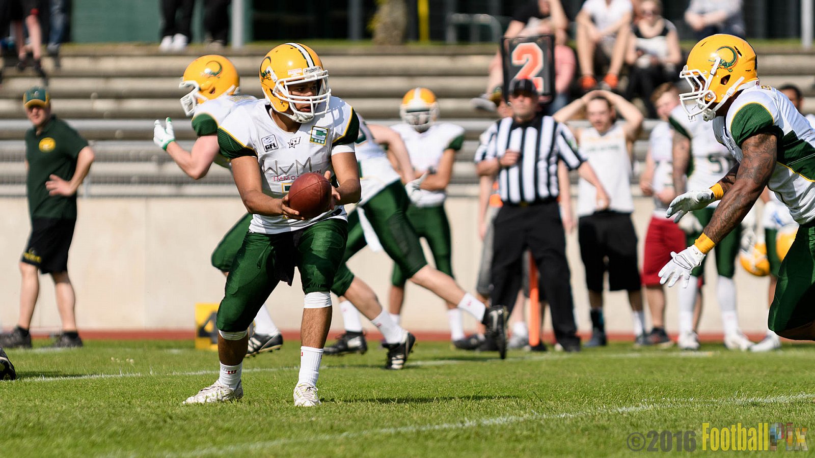 Essen Assindia Cardinals vs. Cologne Crocodiles - 21.05.2016 GFL2: Essen Assindia Cardinals vs. Cologne Crocodiles (0:17)
