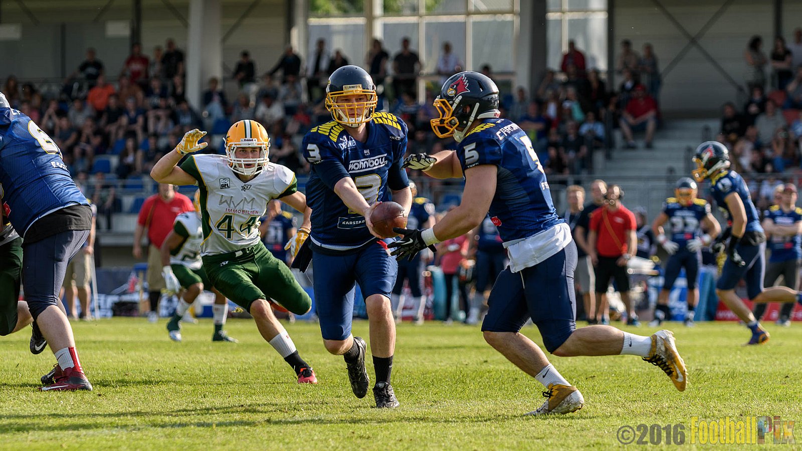 Essen Assindia Cardinals vs. Cologne Crocodiles - 21.05.2016 GFL2: Essen Assindia Cardinals vs. Cologne Crocodiles (0:17)