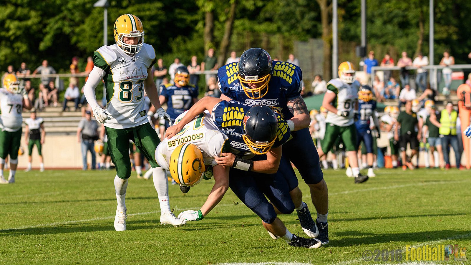 Essen Assindia Cardinals vs. Cologne Crocodiles - 21.05.2016 GFL2: Essen Assindia Cardinals vs. Cologne Crocodiles (0:17)