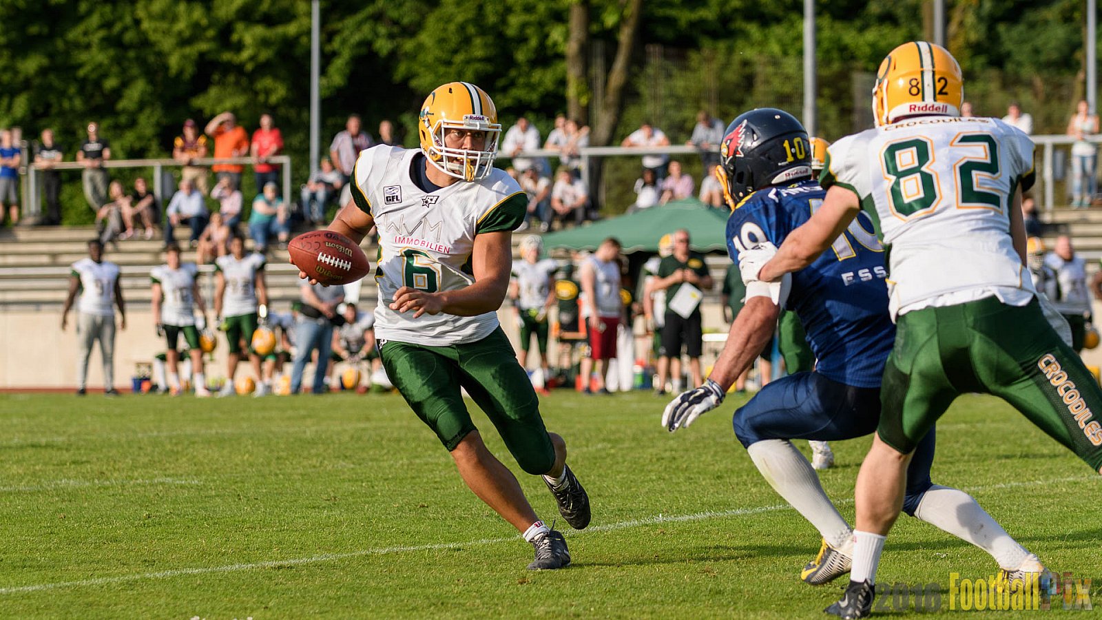 Essen Assindia Cardinals vs. Cologne Crocodiles - 21.05.2016 GFL2: Essen Assindia Cardinals vs. Cologne Crocodiles (0:17)