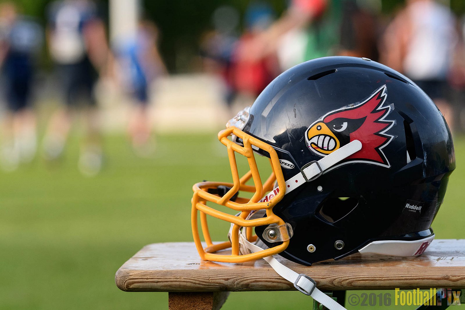 Essen Assindia Cardinals vs. Cologne Crocodiles - 21.05.2016 GFL2: Essen Assindia Cardinals vs. Cologne Crocodiles (0:17)