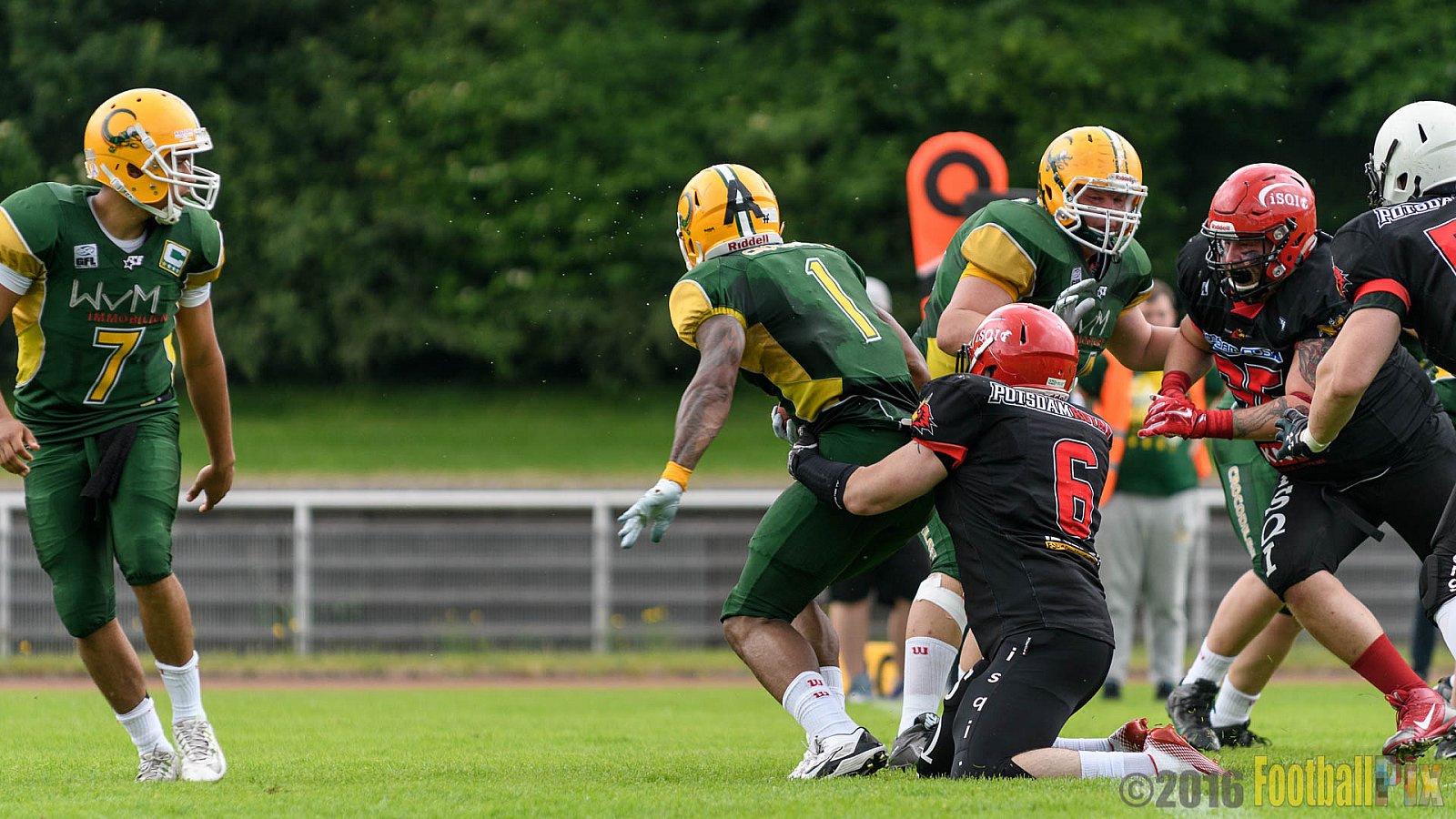 Cologne Crocodiles vs. Potsdam Royals - 29.05.2016 GFL2: Cologne Crocodiles vs. Potsdam Royals (37:19)