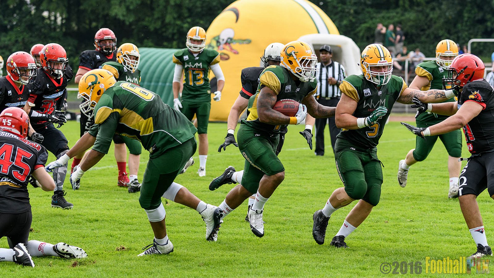 Cologne Crocodiles vs. Potsdam Royals - 29.05.2016 GFL2: Cologne Crocodiles vs. Potsdam Royals (37:19)