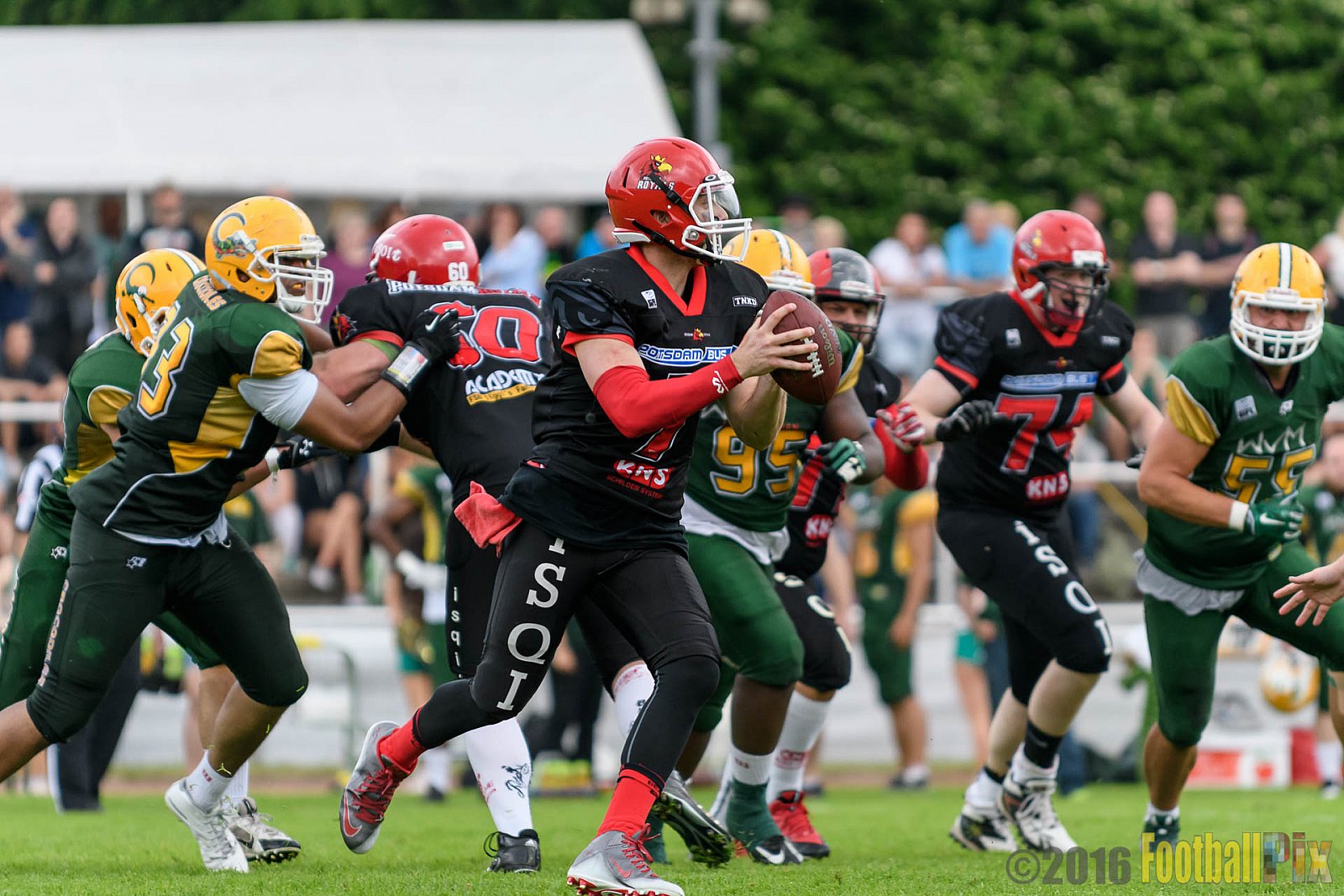 Cologne Crocodiles vs. Potsdam Royals - 29.05.2016 GFL2: Cologne Crocodiles vs. Potsdam Royals (37:19)