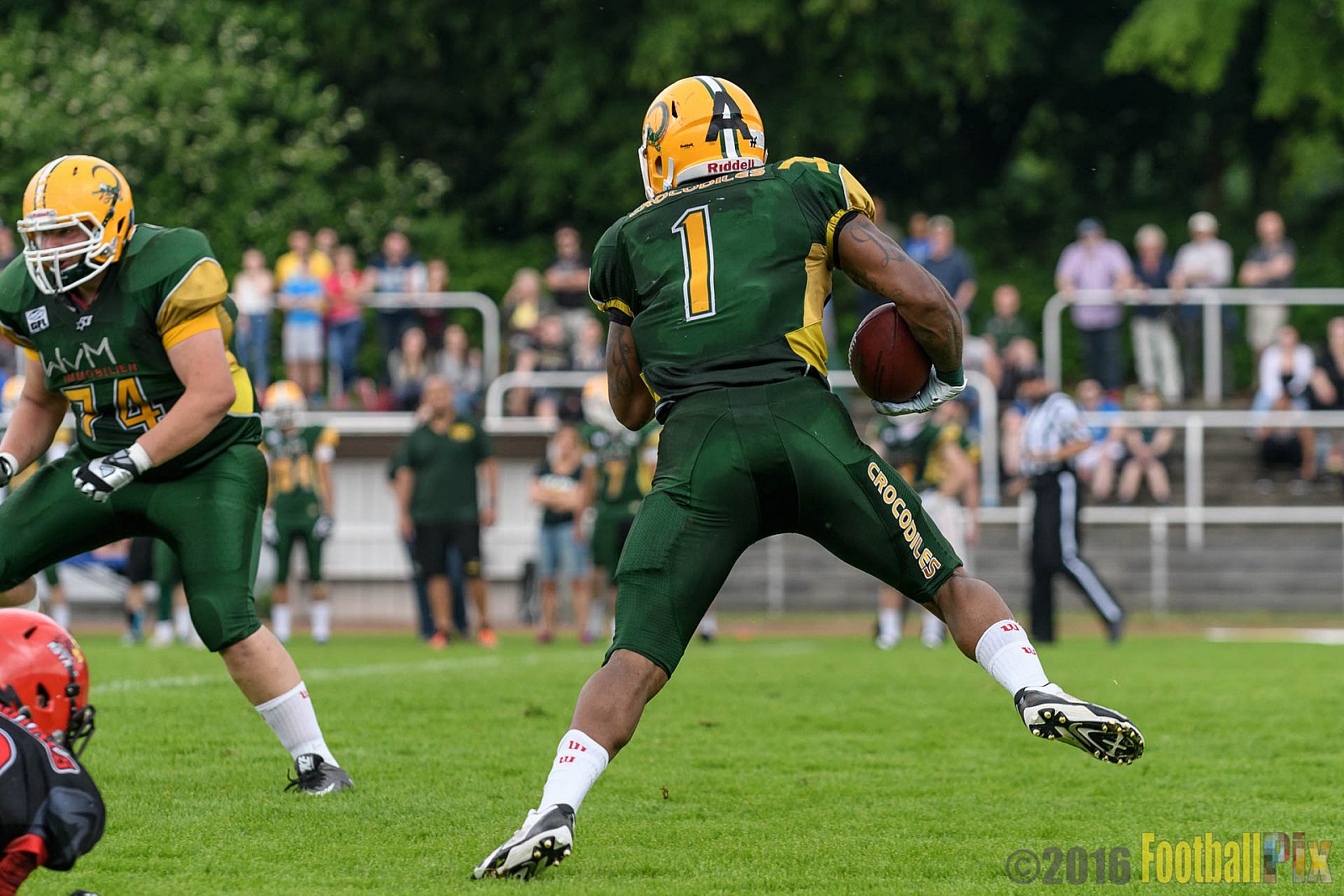 Cologne Crocodiles vs. Potsdam Royals - 29.05.2016 GFL2: Cologne Crocodiles vs. Potsdam Royals (37:19)