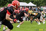 Cologne Crocodiles vs. Potsdam Royals - 29.05.2016 GFL2: Cologne Crocodiles vs. Potsdam Royals (37:19)