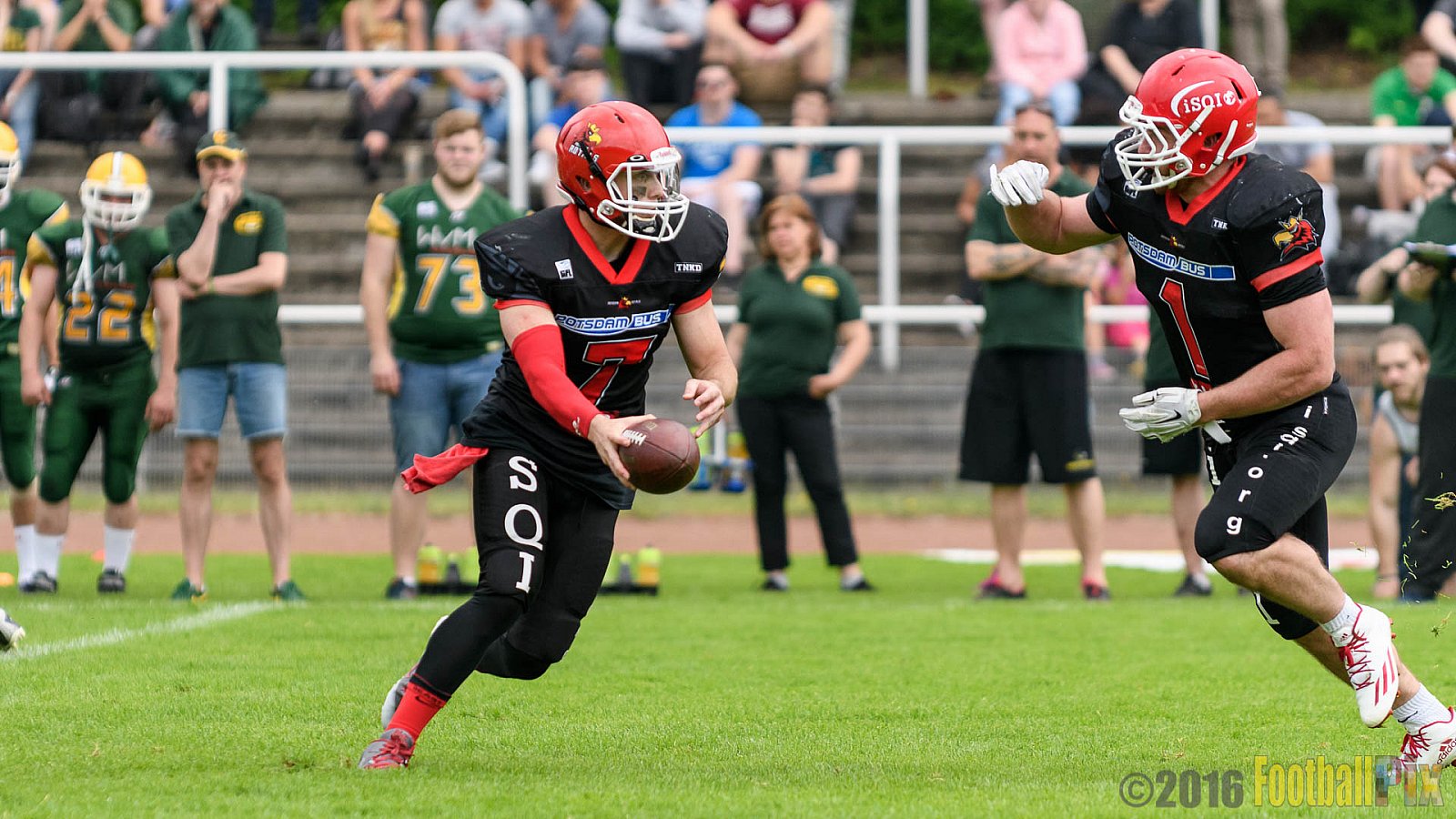 Cologne Crocodiles vs. Potsdam Royals - 29.05.2016 GFL2: Cologne Crocodiles vs. Potsdam Royals (37:19)