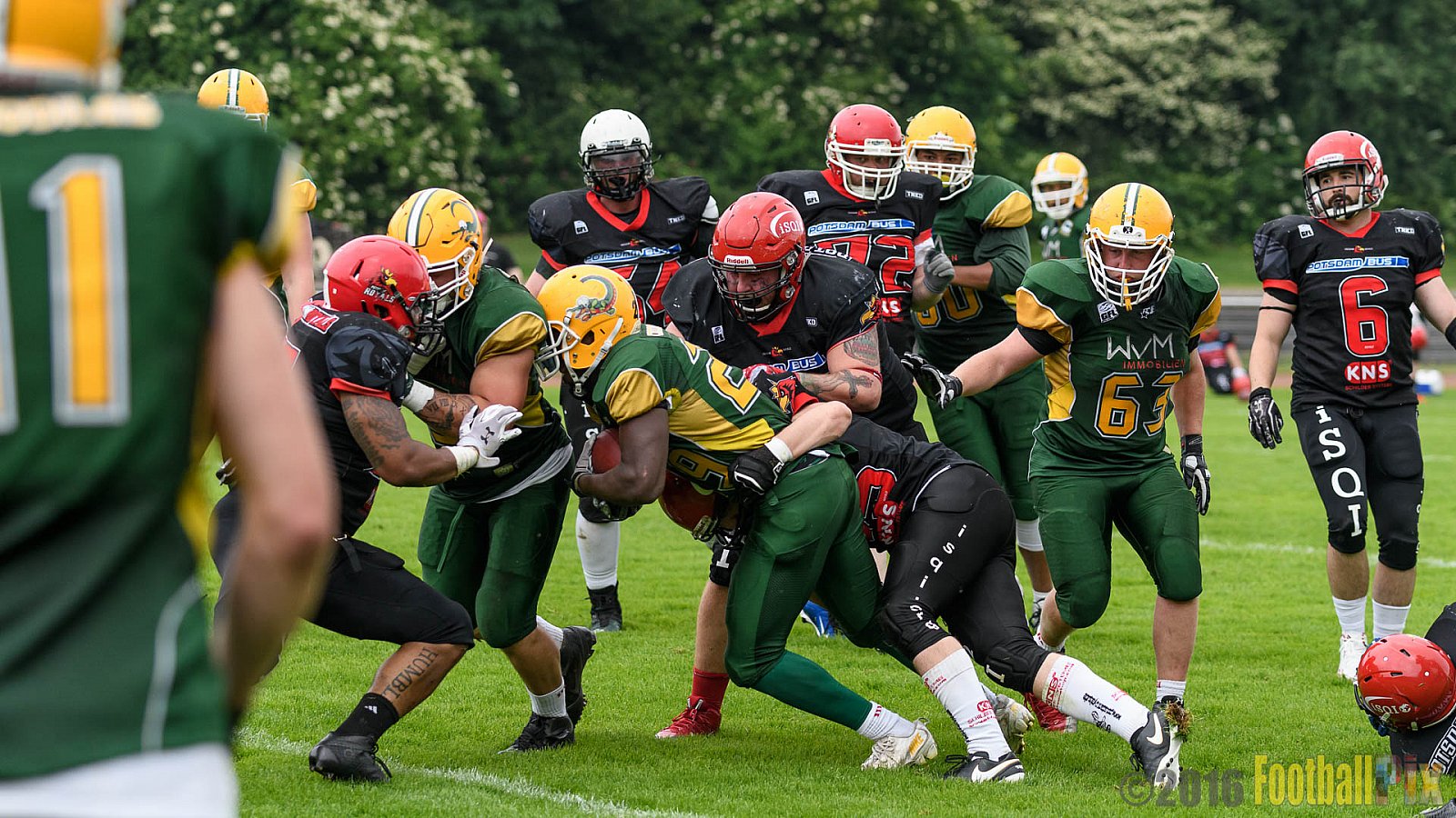 Cologne Crocodiles vs. Potsdam Royals - 29.05.2016 GFL2: Cologne Crocodiles vs. Potsdam Royals (37:19)