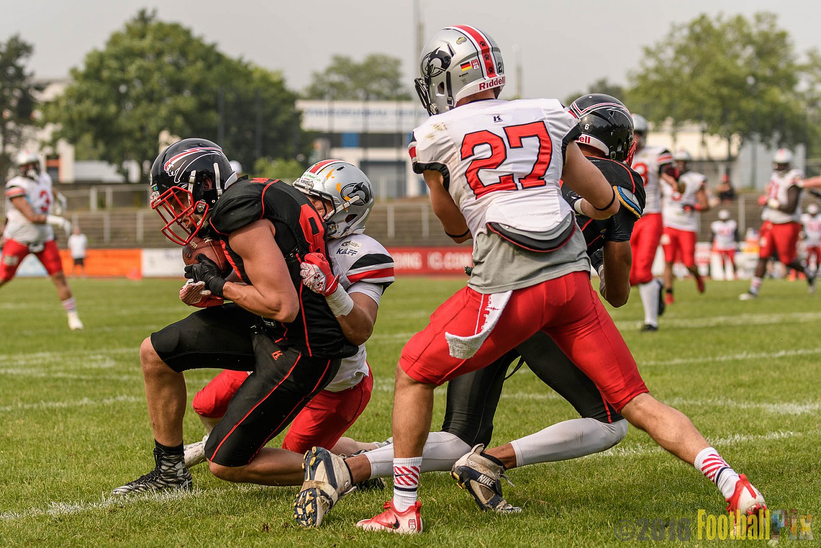 Düsseldorf Panther vs. Hamburg Huskies - 04.06.2016 GFL Nord: Düsseldorf Panther vs. Hamburg Huskies (20:31)