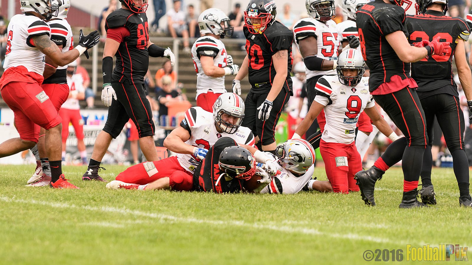 Düsseldorf Panther vs. Hamburg Huskies - 04.06.2016 GFL Nord: Düsseldorf Panther vs. Hamburg Huskies (20:31)