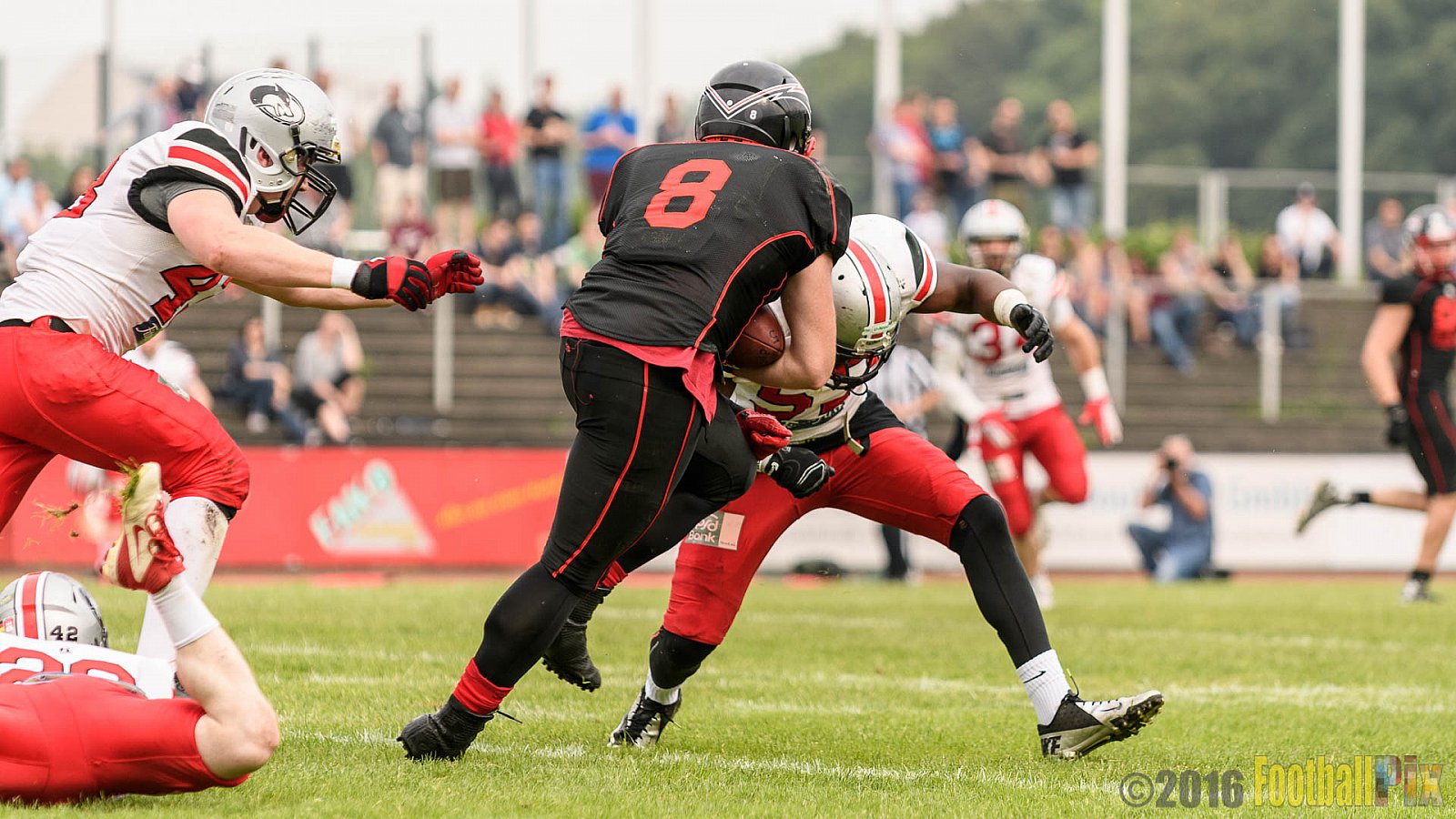 Düsseldorf Panther vs. Hamburg Huskies - 04.06.2016 GFL Nord: Düsseldorf Panther vs. Hamburg Huskies (20:31)