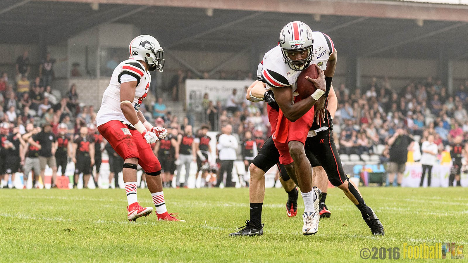 Düsseldorf Panther vs. Hamburg Huskies - 04.06.2016 GFL Nord: Düsseldorf Panther vs. Hamburg Huskies (20:31)