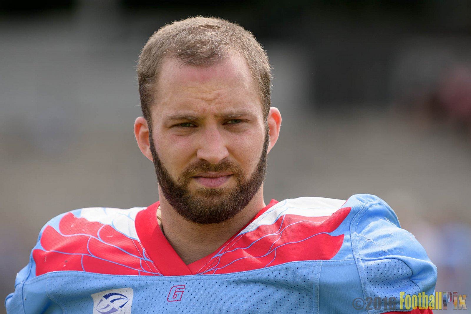  Bonn Gamecocks vs. Paderborn Dolphins - 11.06.2016 GFL2: Bonn Gamecocks vs. Paderborn Dolphins (37:40)