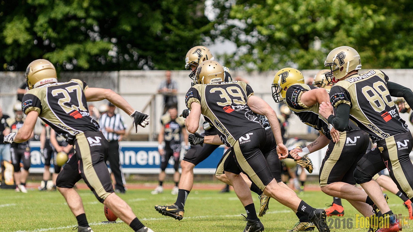  Bonn Gamecocks vs. Paderborn Dolphins - 11.06.2016 GFL2: Bonn Gamecocks vs. Paderborn Dolphins (37:40)