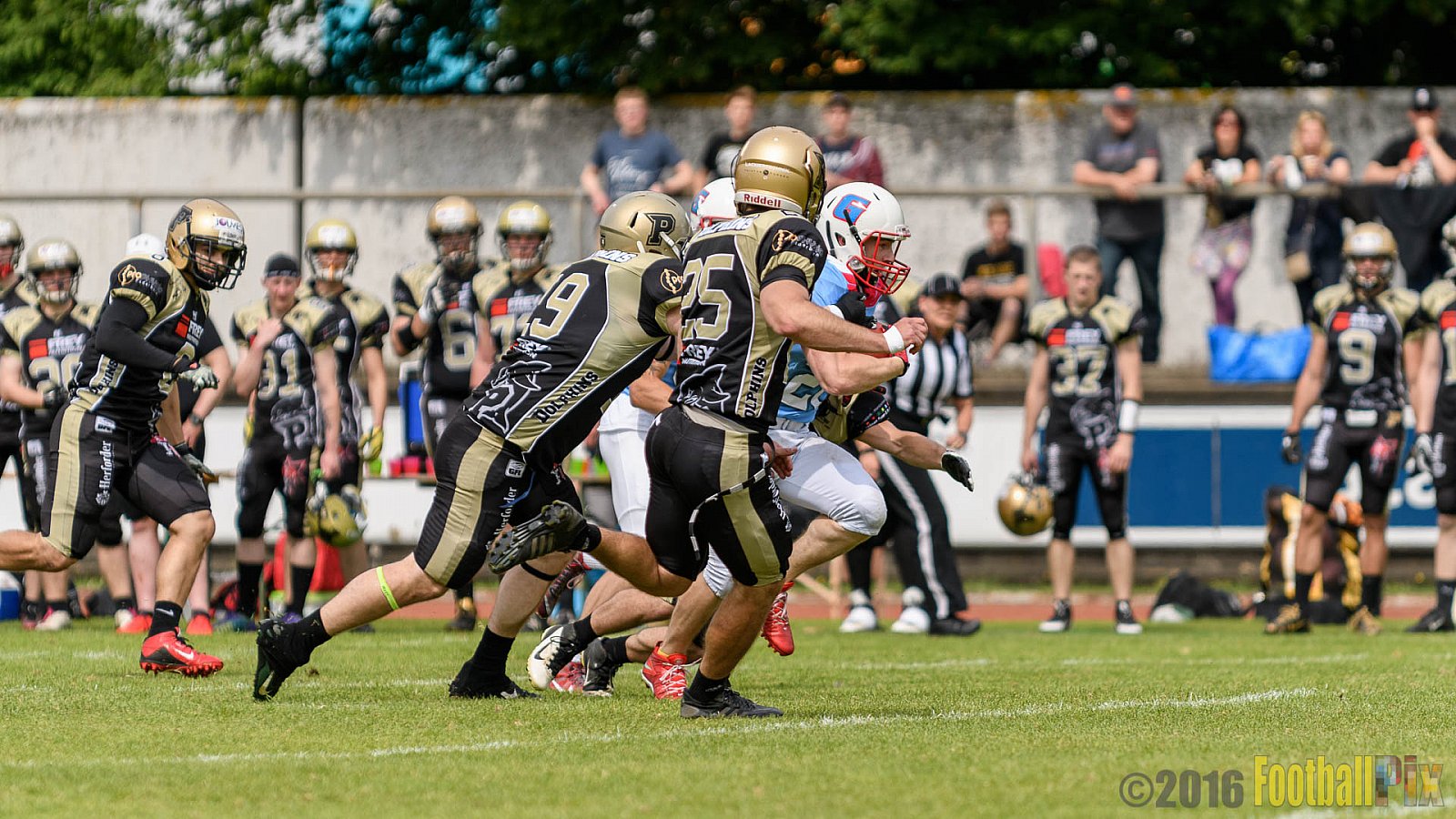  Bonn Gamecocks vs. Paderborn Dolphins - 11.06.2016 GFL2: Bonn Gamecocks vs. Paderborn Dolphins (37:40)