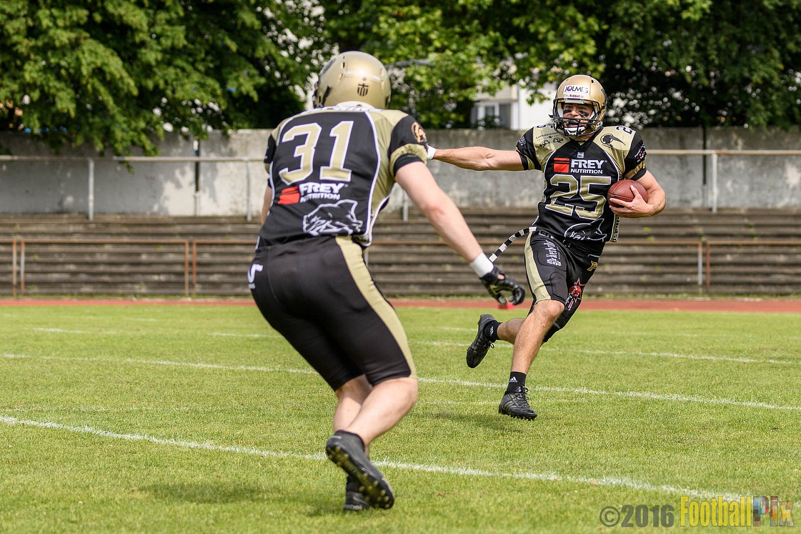  Bonn Gamecocks vs. Paderborn Dolphins - 11.06.2016 GFL2: Bonn Gamecocks vs. Paderborn Dolphins (37:40)
