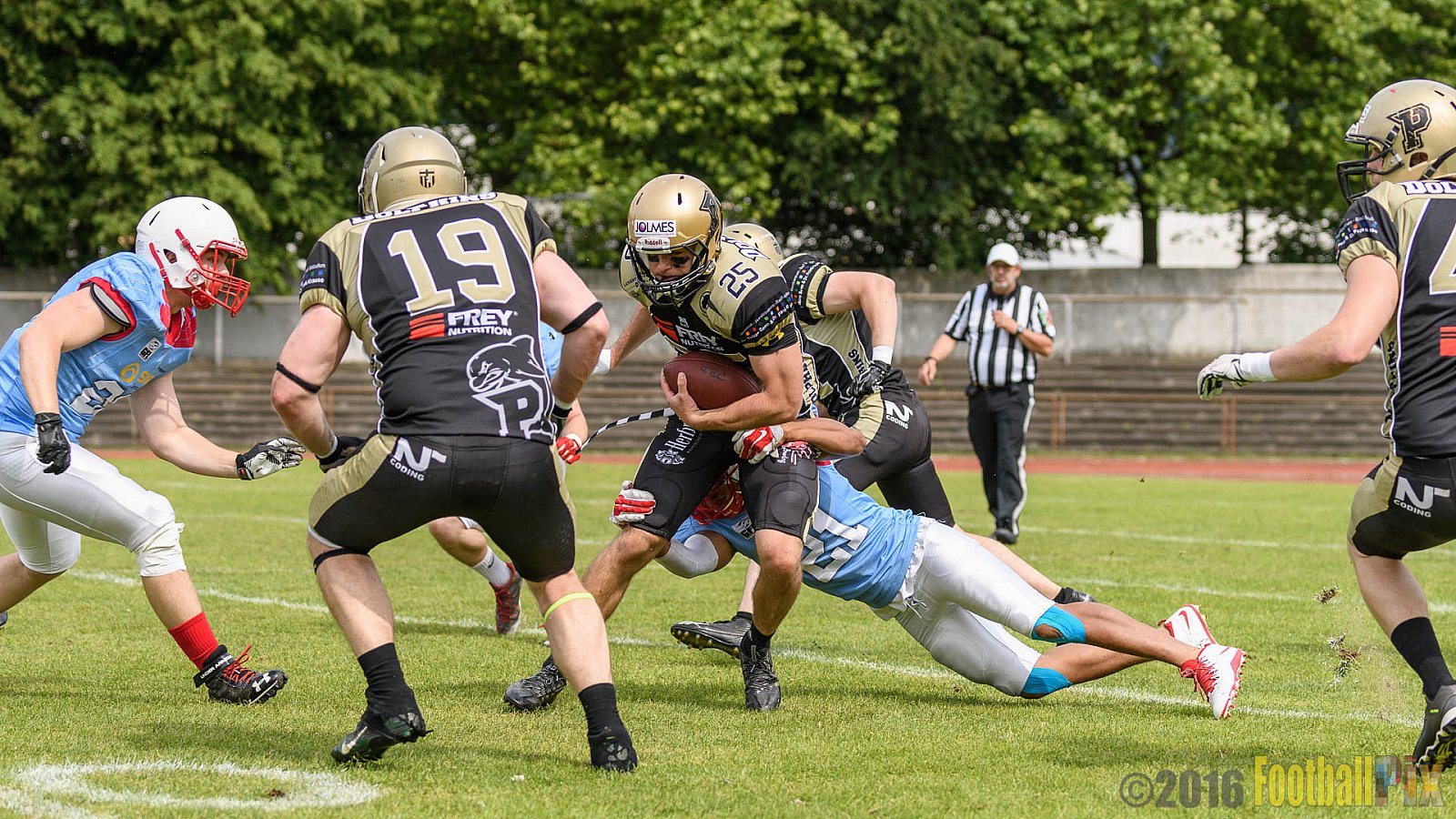  Bonn Gamecocks vs. Paderborn Dolphins - 11.06.2016 GFL2: Bonn Gamecocks vs. Paderborn Dolphins (37:40)