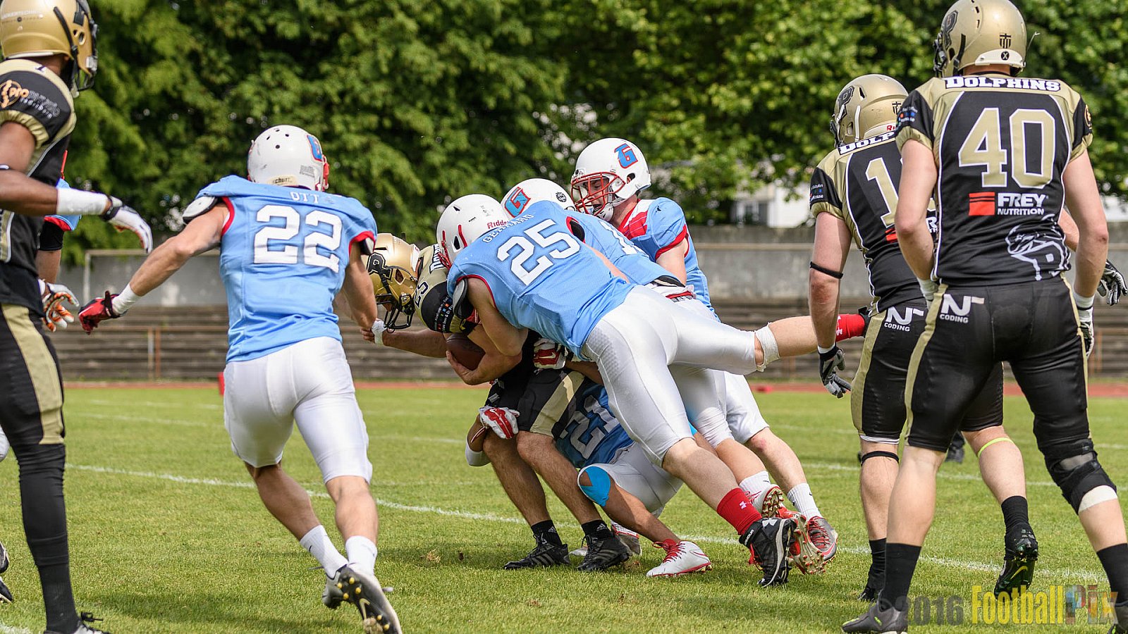  Bonn Gamecocks vs. Paderborn Dolphins - 11.06.2016 GFL2: Bonn Gamecocks vs. Paderborn Dolphins (37:40)