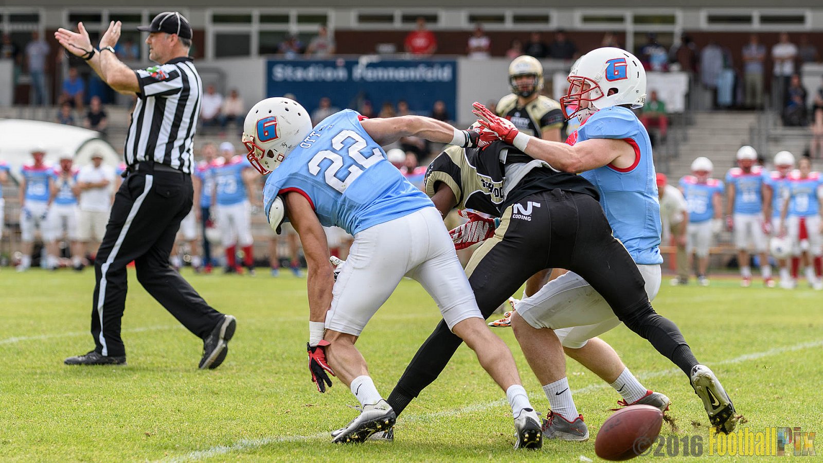  Bonn Gamecocks vs. Paderborn Dolphins - 11.06.2016 GFL2: Bonn Gamecocks vs. Paderborn Dolphins (37:40)
