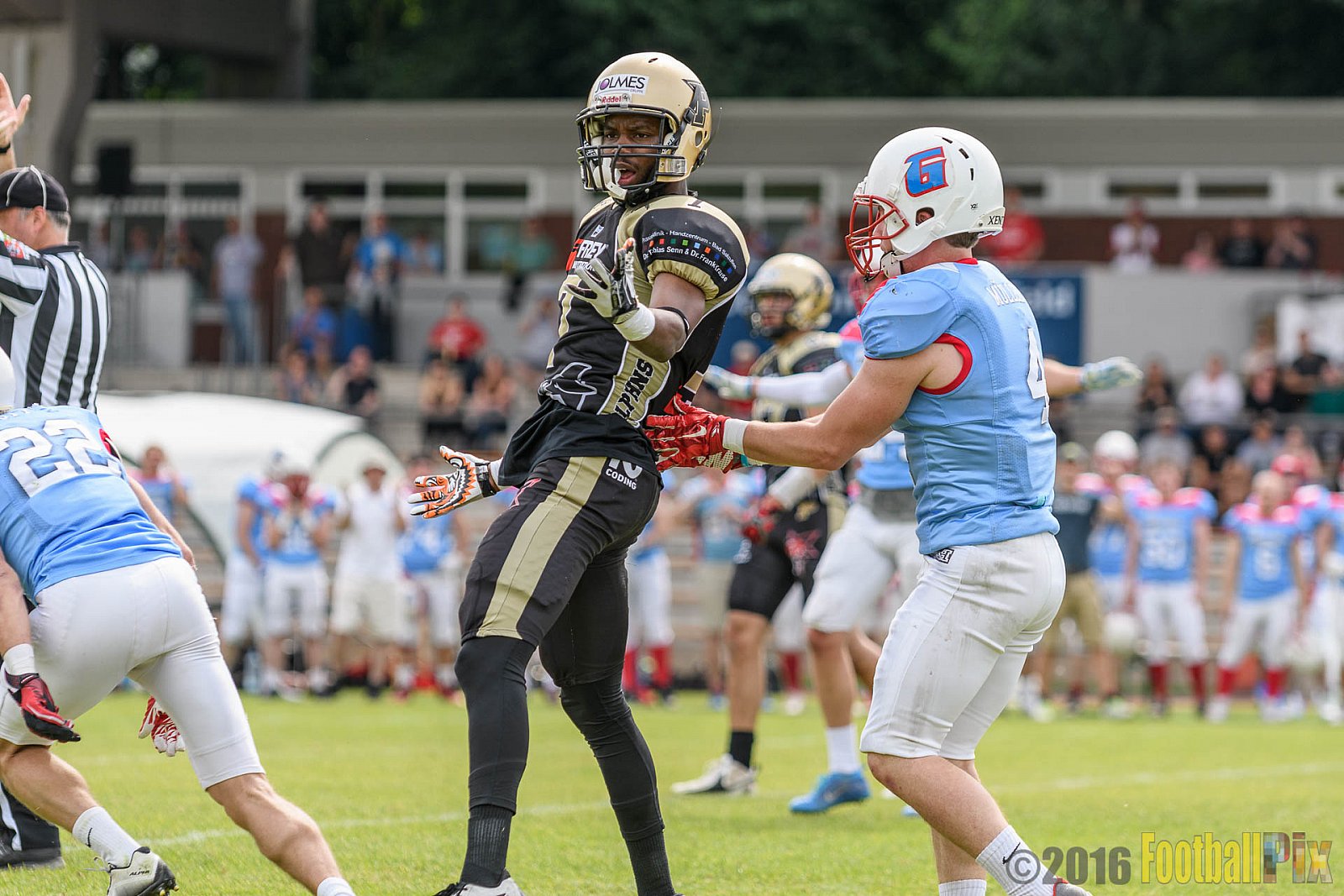  Bonn Gamecocks vs. Paderborn Dolphins - 11.06.2016 GFL2: Bonn Gamecocks vs. Paderborn Dolphins (37:40)