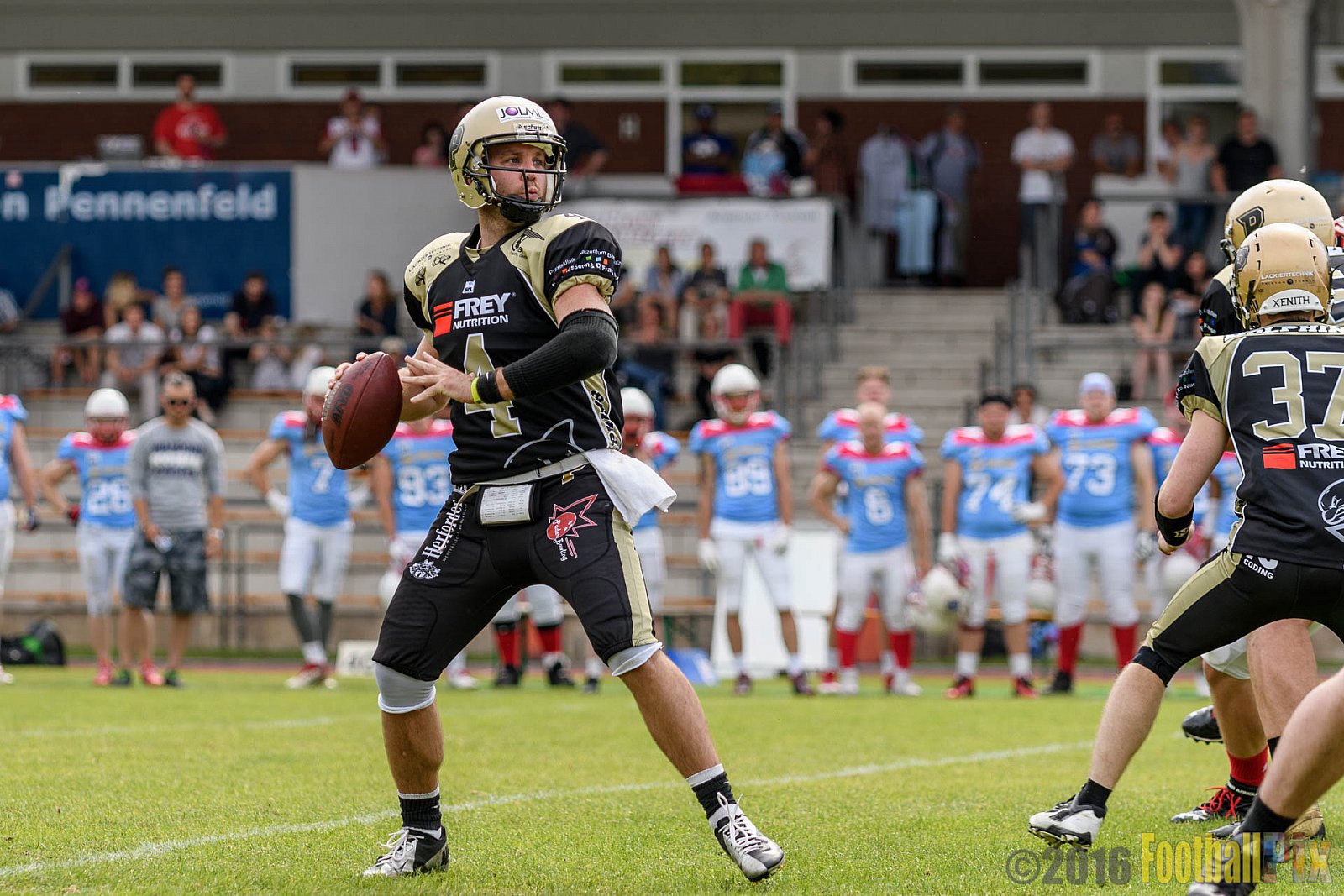  Bonn Gamecocks vs. Paderborn Dolphins - 11.06.2016 GFL2: Bonn Gamecocks vs. Paderborn Dolphins (37:40)