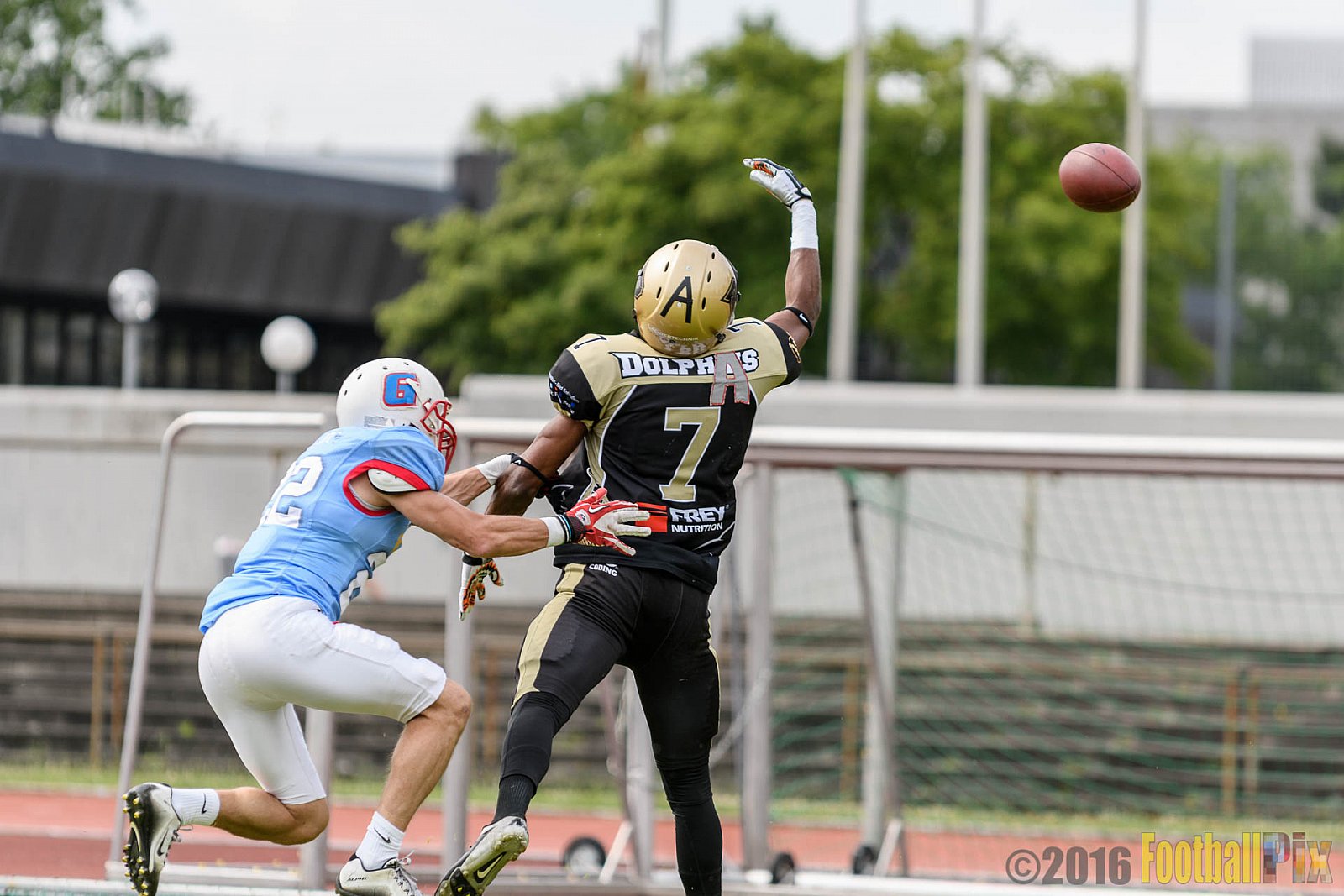  Bonn Gamecocks vs. Paderborn Dolphins - 11.06.2016 GFL2: Bonn Gamecocks vs. Paderborn Dolphins (37:40)