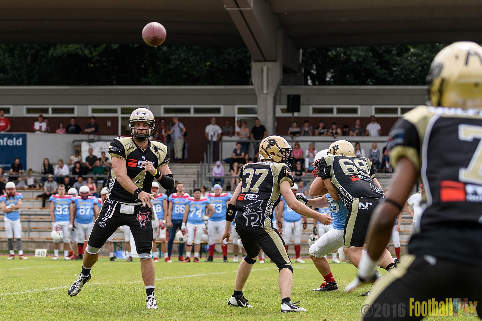  Bonn Gamecocks vs. Paderborn Dolphins - 11.06.2016 GFL2: Bonn Gamecocks vs. Paderborn Dolphins (37:40)