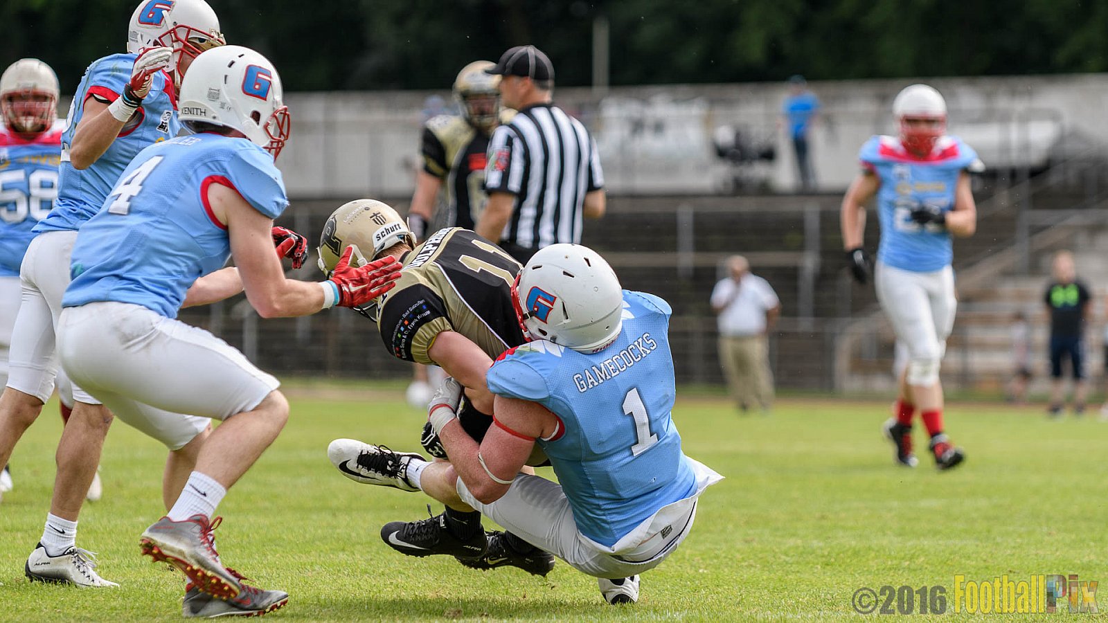  Bonn Gamecocks vs. Paderborn Dolphins - 11.06.2016 GFL2: Bonn Gamecocks vs. Paderborn Dolphins (37:40)