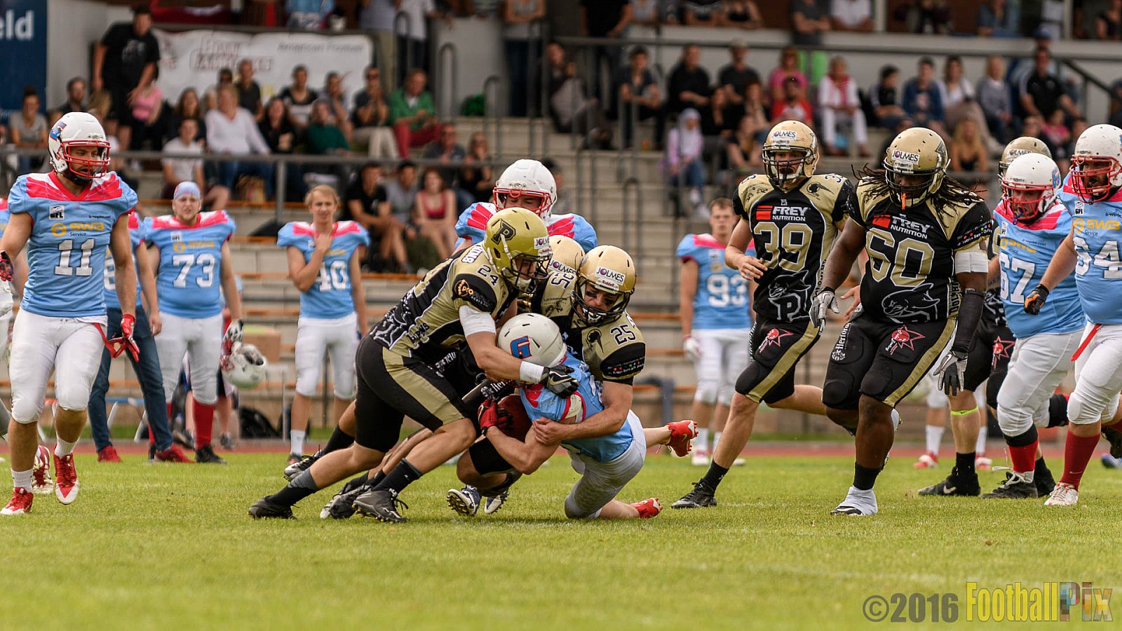  Bonn Gamecocks vs. Paderborn Dolphins - 11.06.2016 GFL2: Bonn Gamecocks vs. Paderborn Dolphins (37:40)