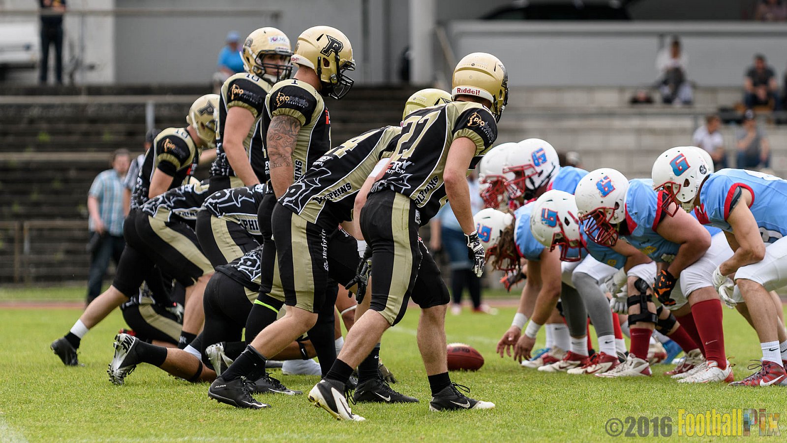  Bonn Gamecocks vs. Paderborn Dolphins - 11.06.2016 GFL2: Bonn Gamecocks vs. Paderborn Dolphins (37:40)