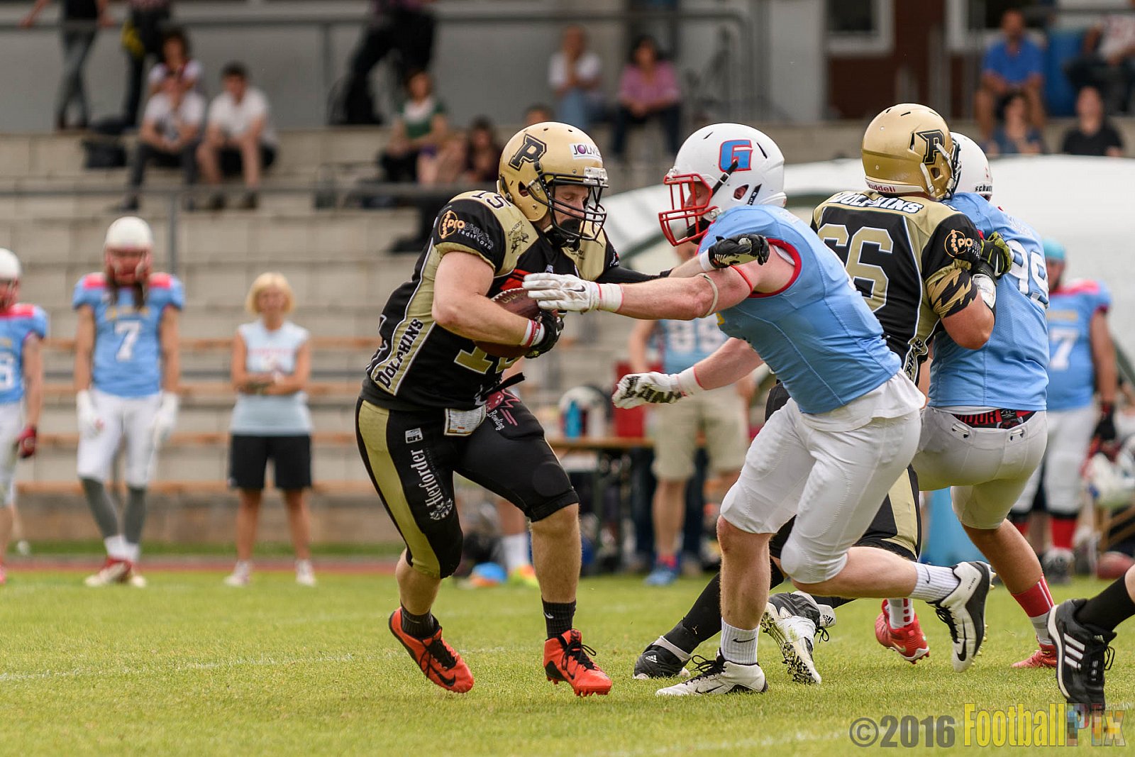  Bonn Gamecocks vs. Paderborn Dolphins - 11.06.2016 GFL2: Bonn Gamecocks vs. Paderborn Dolphins (37:40)