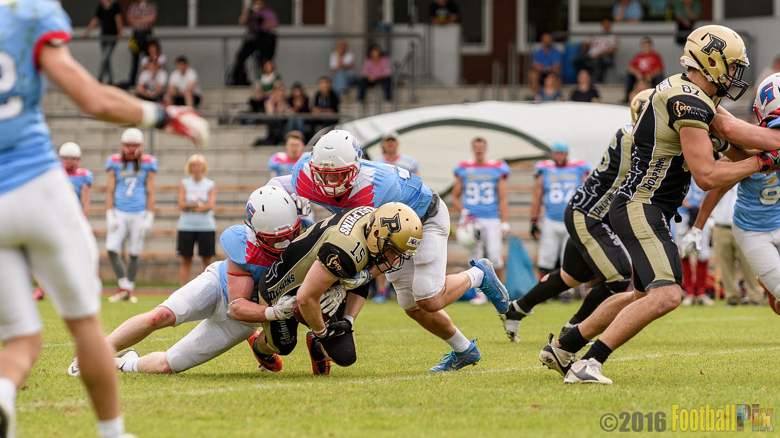  Bonn Gamecocks vs. Paderborn Dolphins - 11.06.2016 GFL2: Bonn Gamecocks vs. Paderborn Dolphins (37:40)