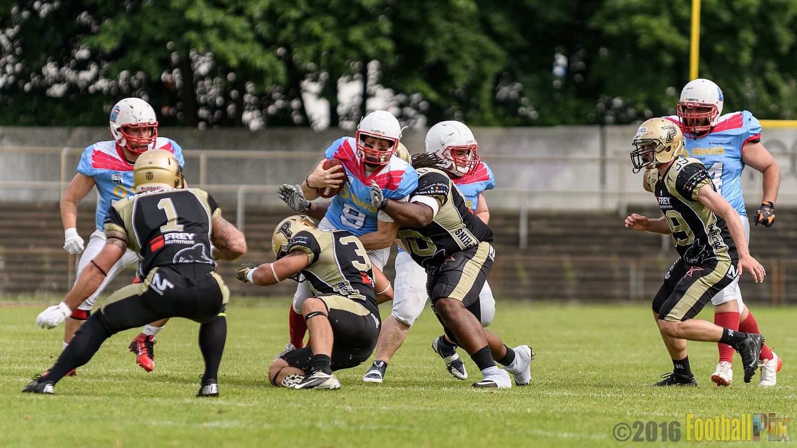  Bonn Gamecocks vs. Paderborn Dolphins - 11.06.2016 GFL2: Bonn Gamecocks vs. Paderborn Dolphins (37:40)