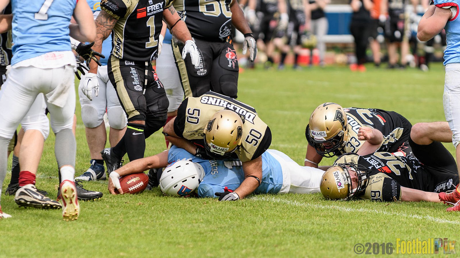  Bonn Gamecocks vs. Paderborn Dolphins - 11.06.2016 GFL2: Bonn Gamecocks vs. Paderborn Dolphins (37:40)