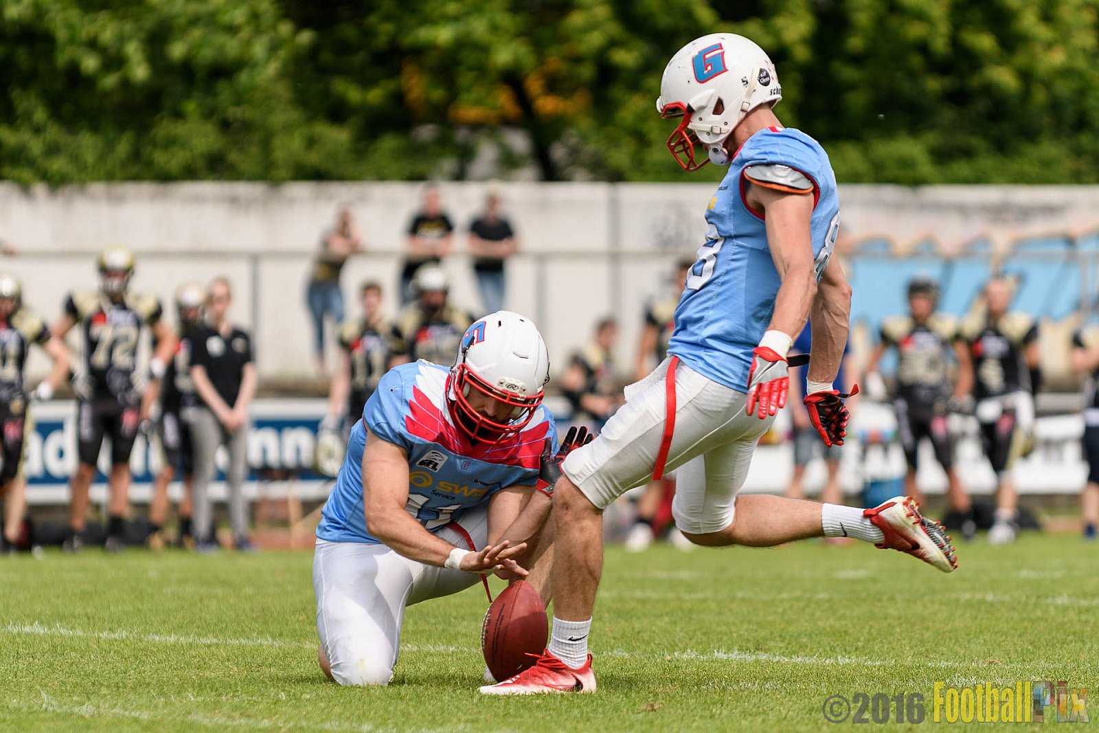  Bonn Gamecocks vs. Paderborn Dolphins - 11.06.2016 GFL2: Bonn Gamecocks vs. Paderborn Dolphins (37:40)