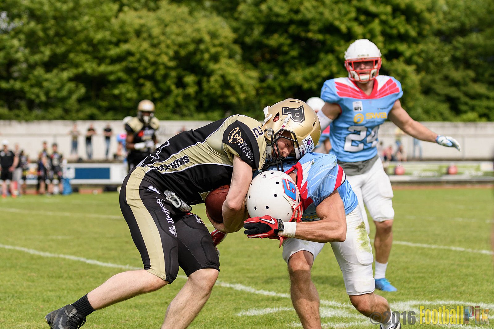  Bonn Gamecocks vs. Paderborn Dolphins - 11.06.2016 GFL2: Bonn Gamecocks vs. Paderborn Dolphins (37:40)