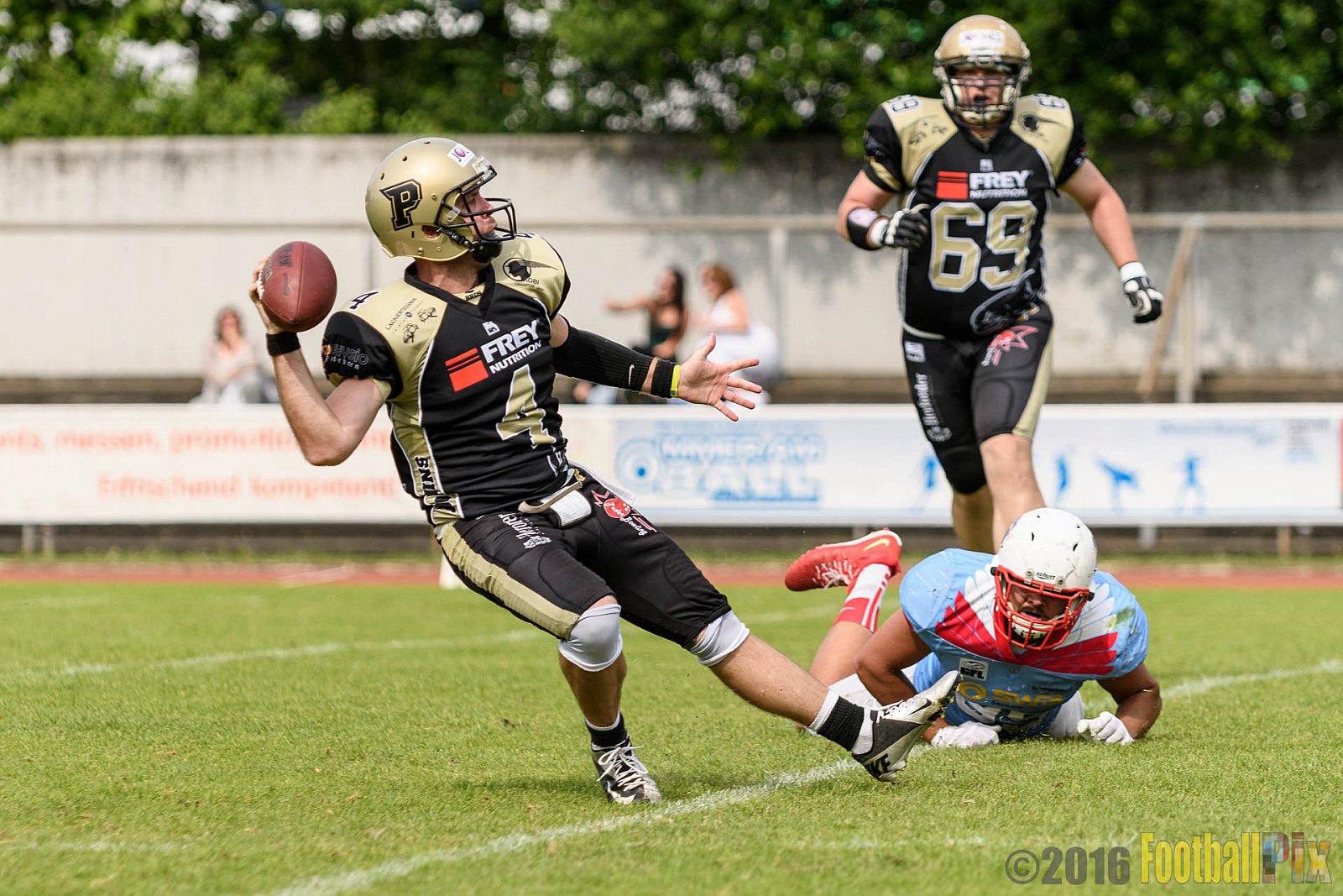  Bonn Gamecocks vs. Paderborn Dolphins - 11.06.2016 GFL2: Bonn Gamecocks vs. Paderborn Dolphins (37:40)