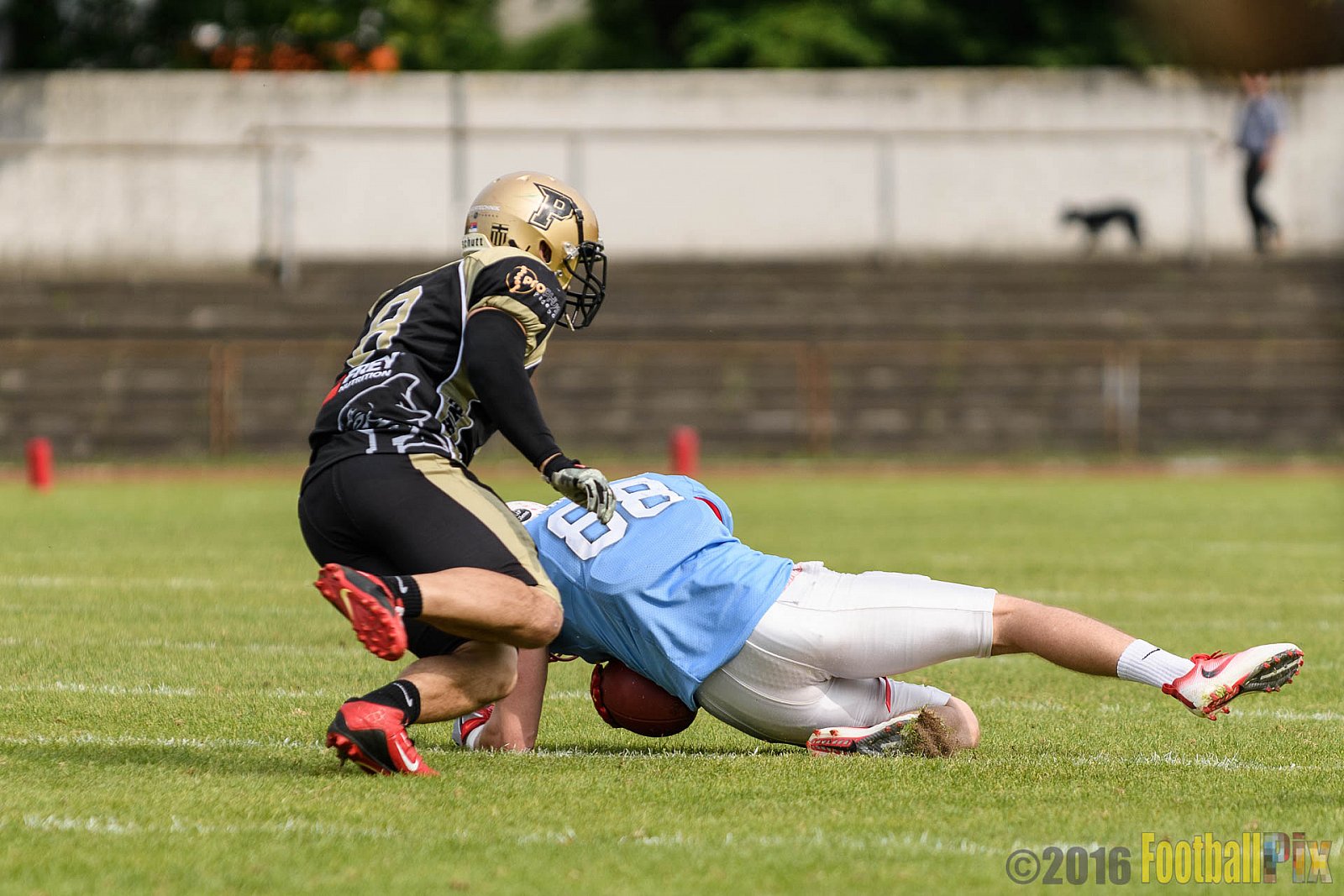  Bonn Gamecocks vs. Paderborn Dolphins - 11.06.2016 GFL2: Bonn Gamecocks vs. Paderborn Dolphins (37:40)