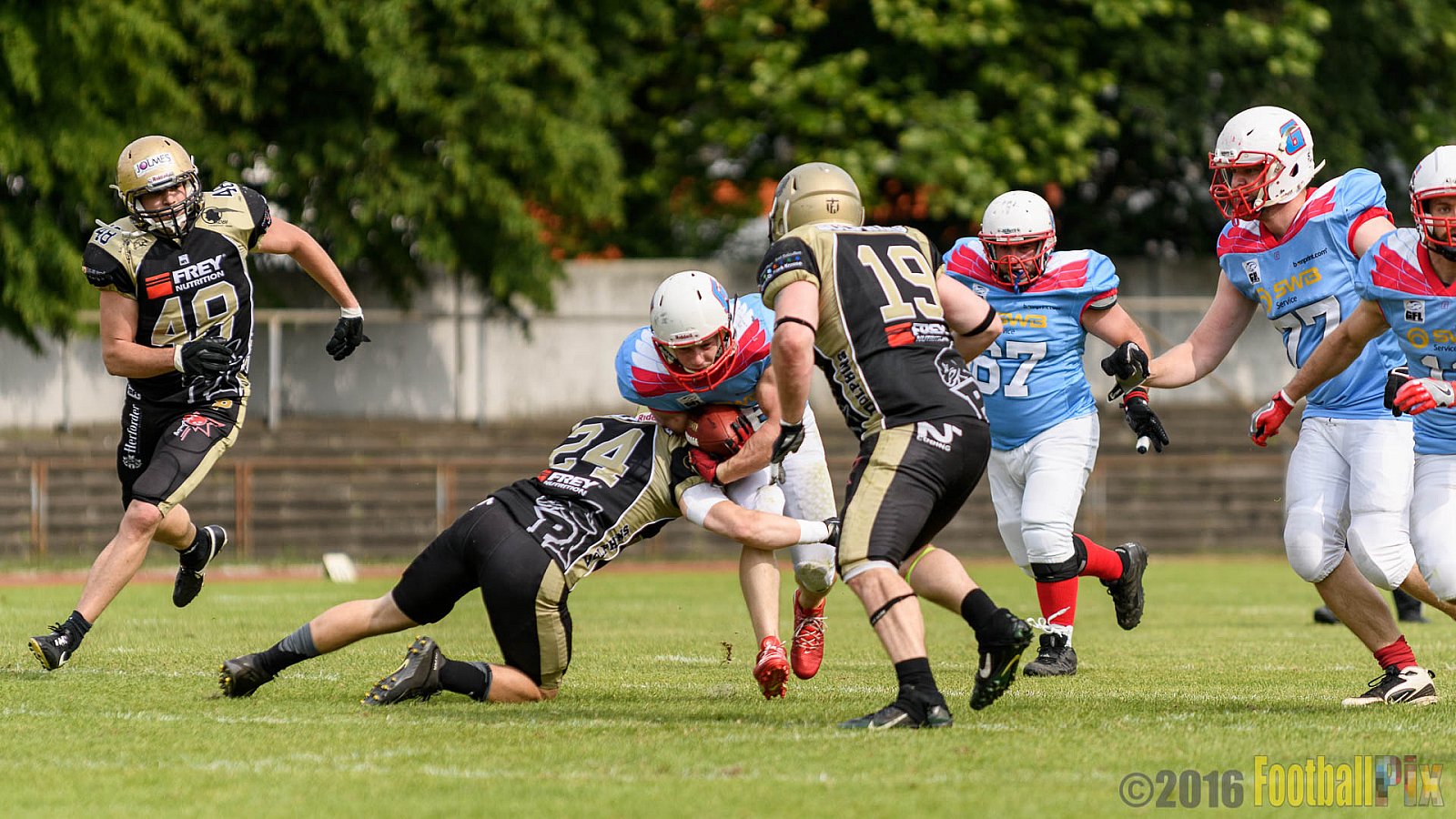  Bonn Gamecocks vs. Paderborn Dolphins - 11.06.2016 GFL2: Bonn Gamecocks vs. Paderborn Dolphins (37:40)