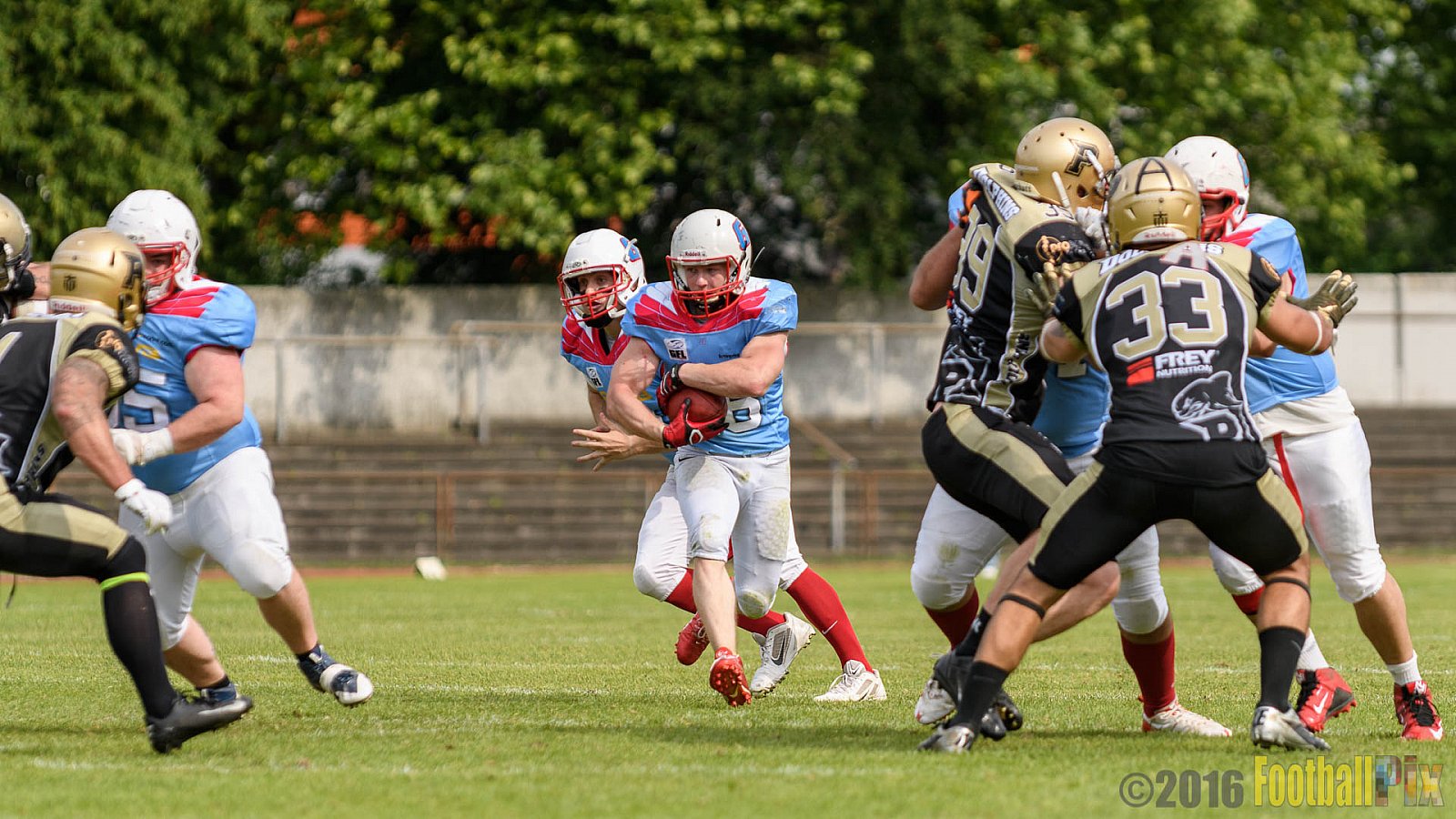  Bonn Gamecocks vs. Paderborn Dolphins - 11.06.2016 GFL2: Bonn Gamecocks vs. Paderborn Dolphins (37:40)