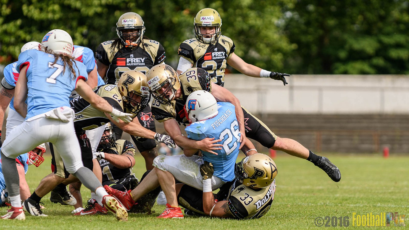  Bonn Gamecocks vs. Paderborn Dolphins - 11.06.2016 GFL2: Bonn Gamecocks vs. Paderborn Dolphins (37:40)