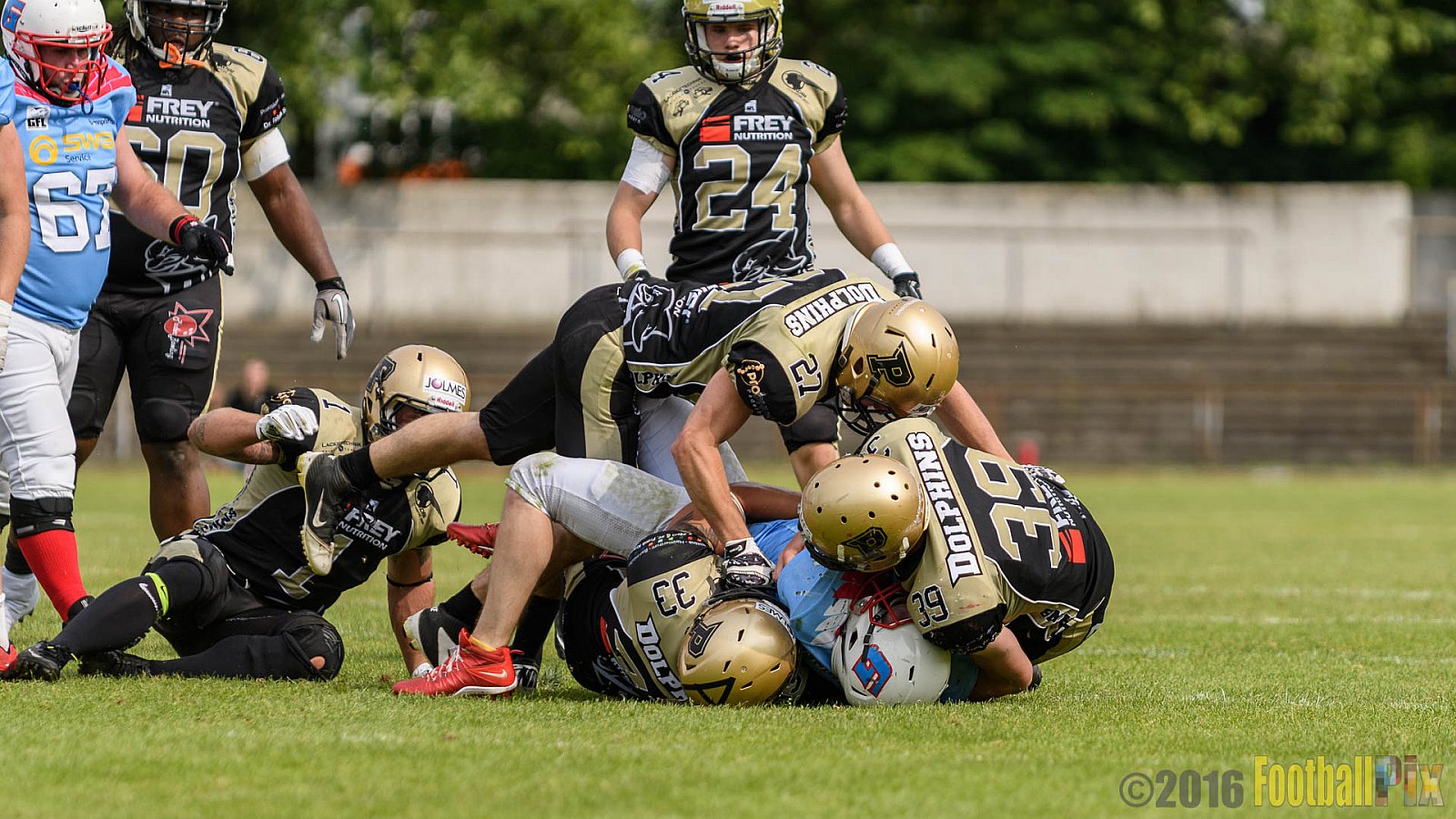  Bonn Gamecocks vs. Paderborn Dolphins - 11.06.2016 GFL2: Bonn Gamecocks vs. Paderborn Dolphins (37:40)