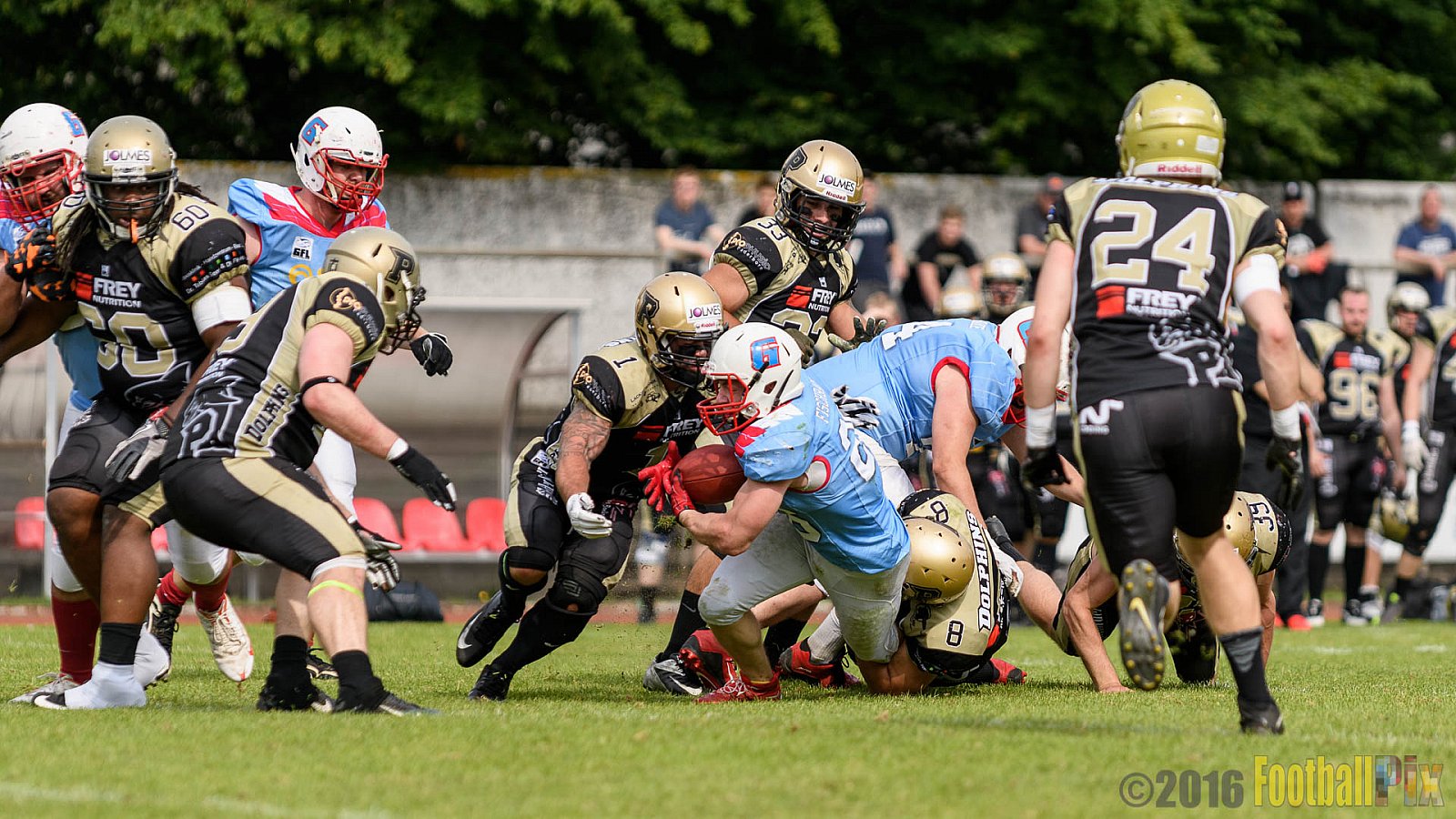  Bonn Gamecocks vs. Paderborn Dolphins - 11.06.2016 GFL2: Bonn Gamecocks vs. Paderborn Dolphins (37:40)