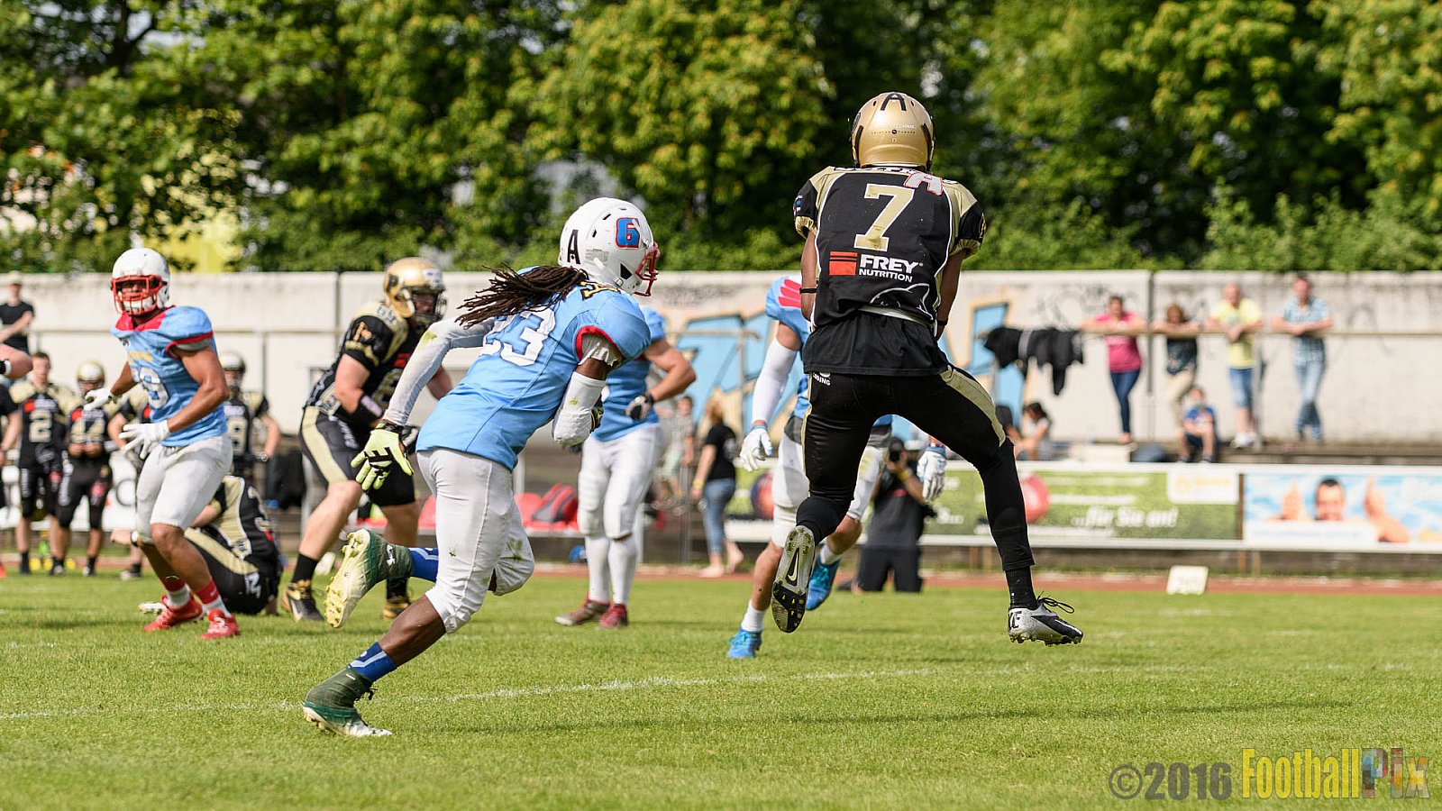  Bonn Gamecocks vs. Paderborn Dolphins - 11.06.2016 GFL2: Bonn Gamecocks vs. Paderborn Dolphins (37:40)