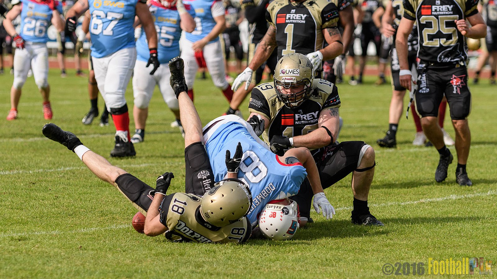  Bonn Gamecocks vs. Paderborn Dolphins - 11.06.2016 GFL2: Bonn Gamecocks vs. Paderborn Dolphins (37:40)