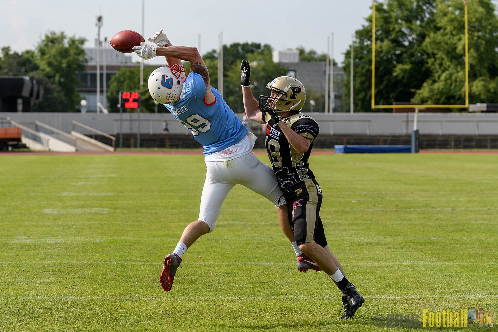  Bonn Gamecocks vs. Paderborn Dolphins - 11.06.2016 GFL2: Bonn Gamecocks vs. Paderborn Dolphins (37:40)