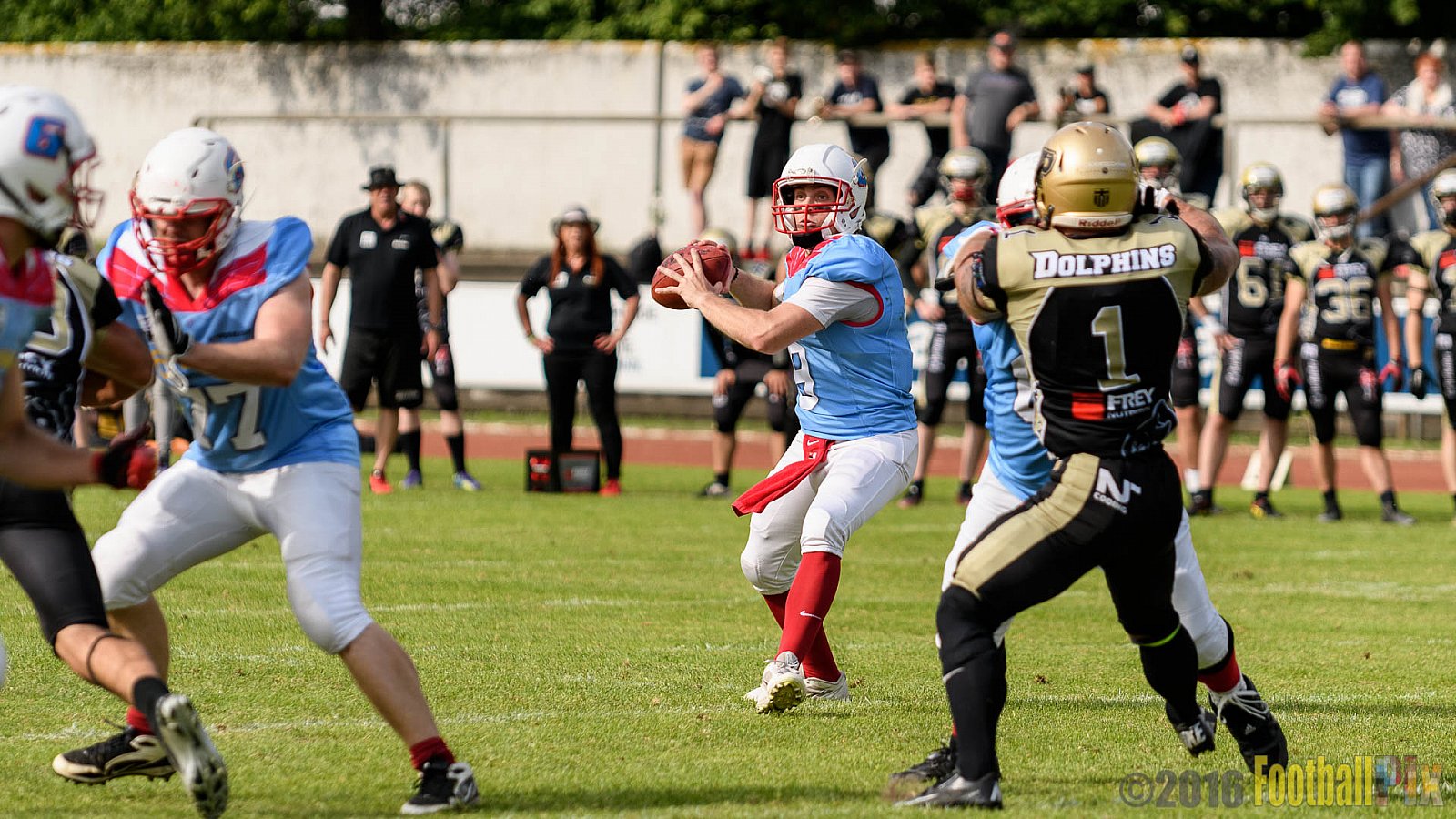  Bonn Gamecocks vs. Paderborn Dolphins - 11.06.2016 GFL2: Bonn Gamecocks vs. Paderborn Dolphins (37:40)